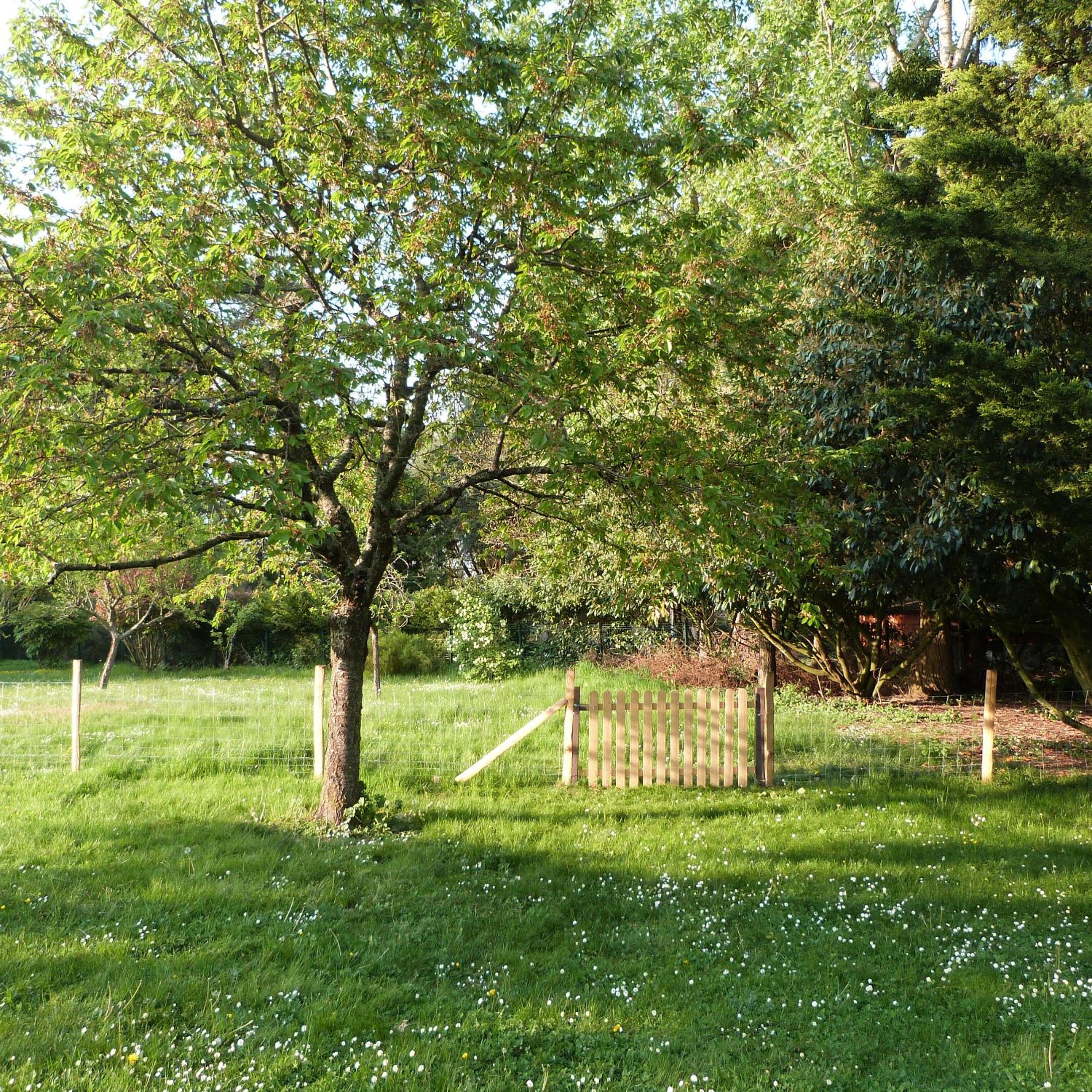 Photo 20