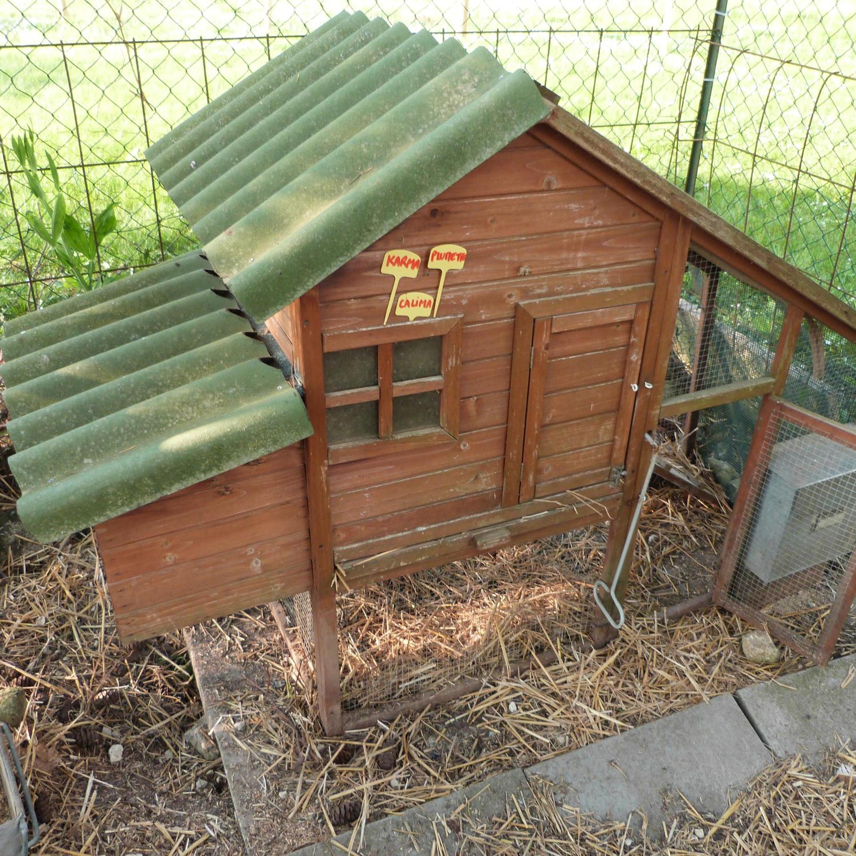 Photo 28