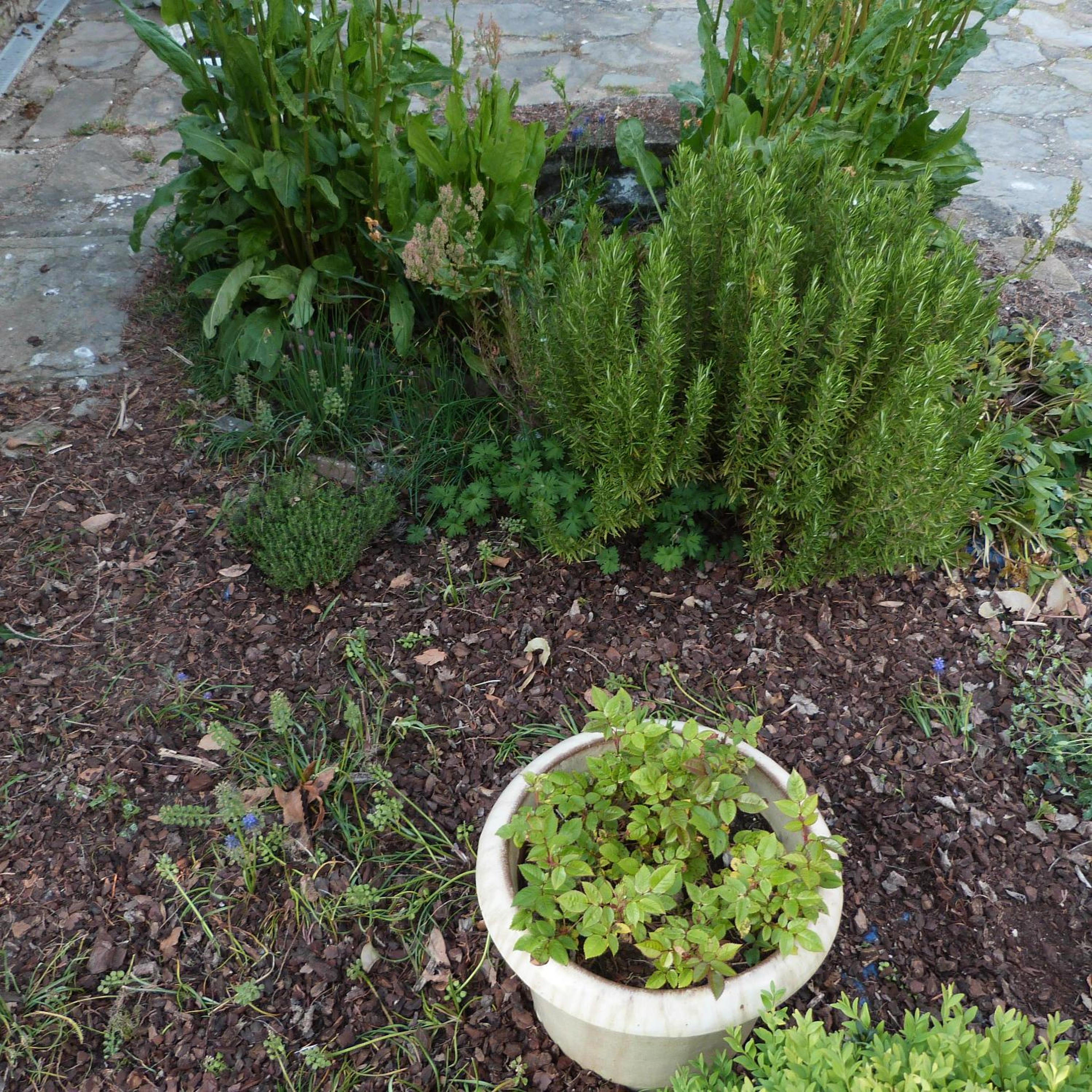 Photo 32