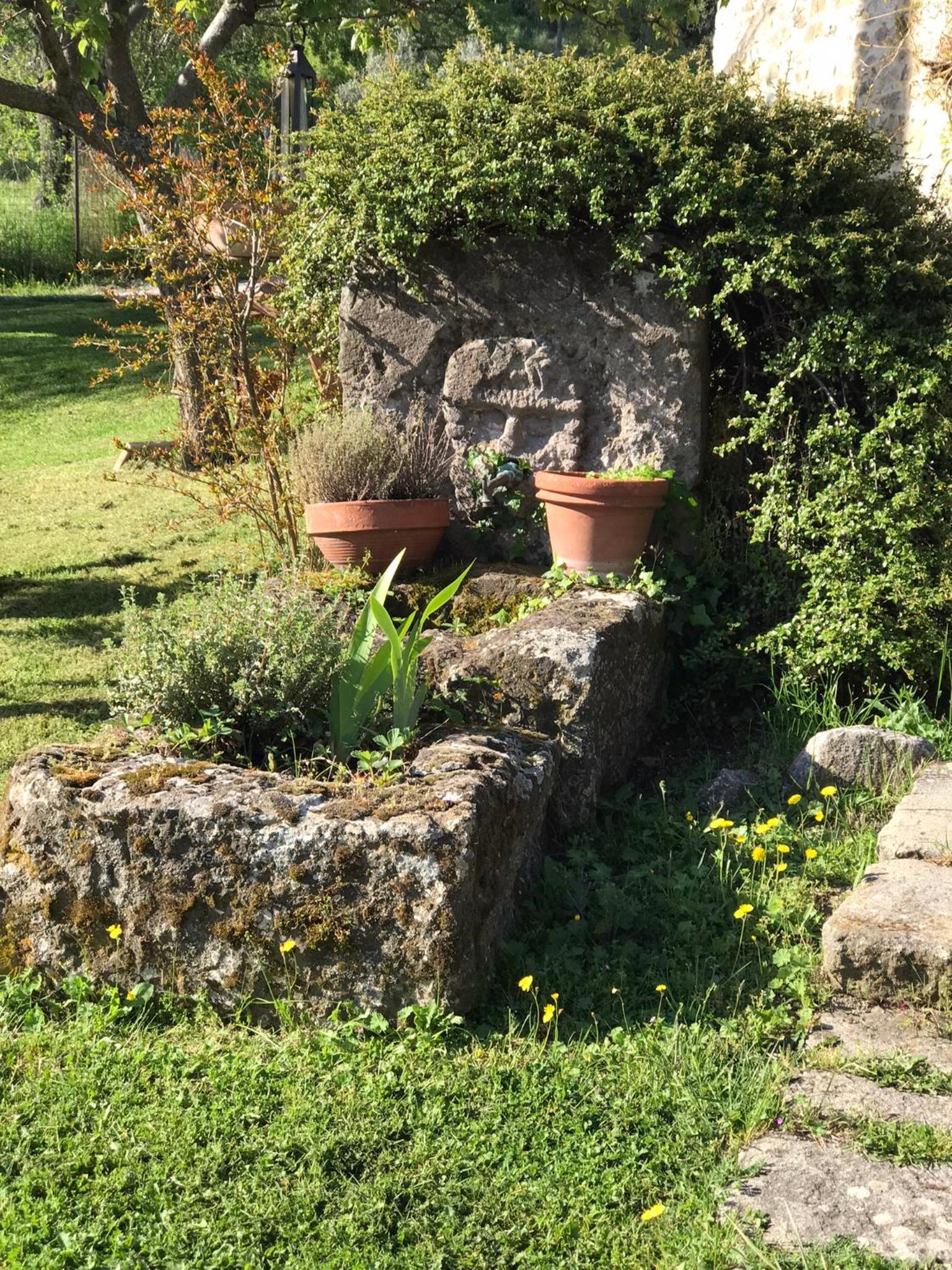 Photo 39