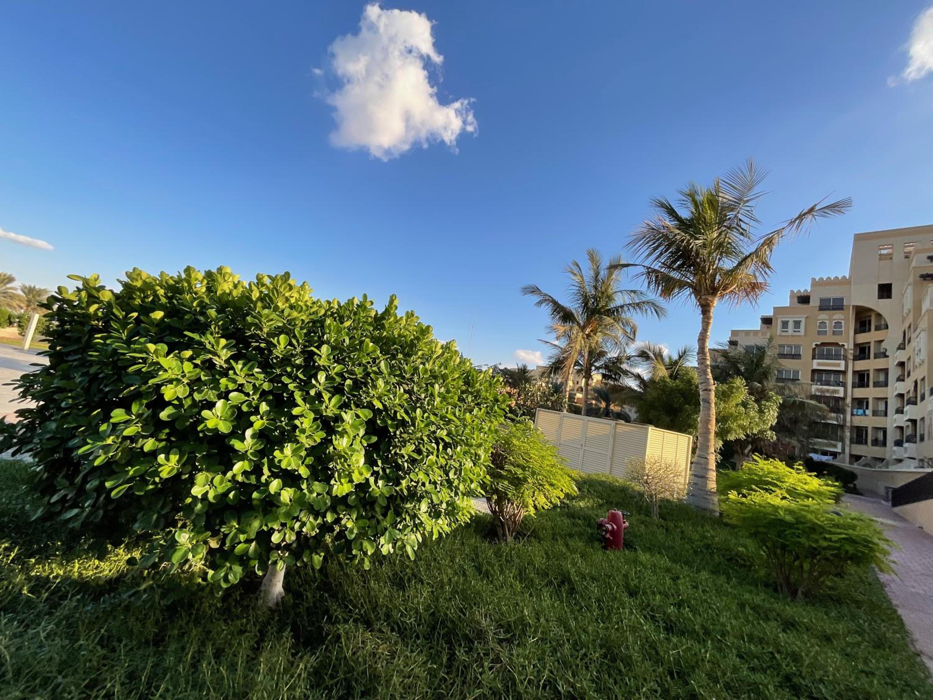 Amazing 1 Bedroom Apartment Next To The Beach