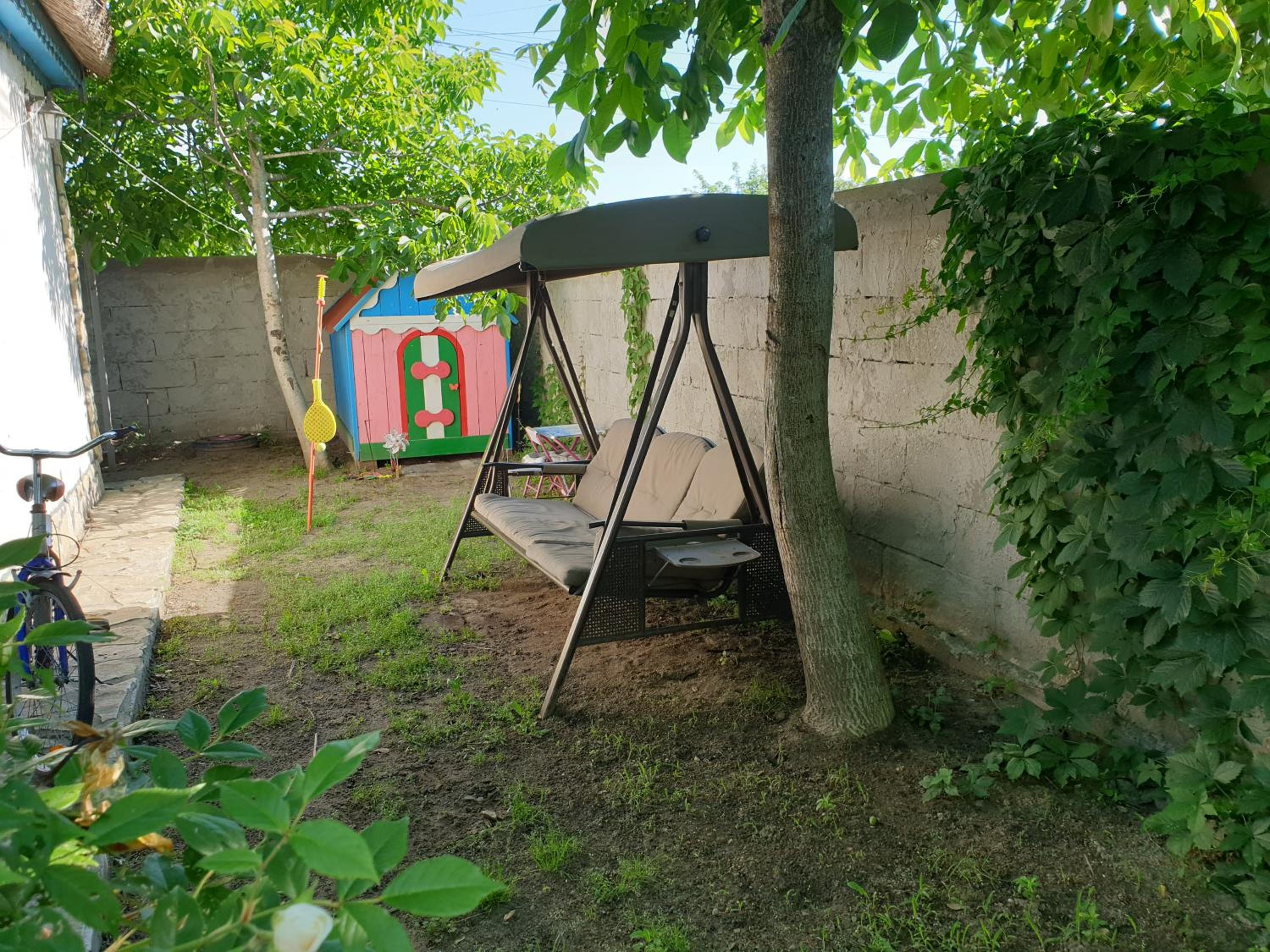 Photo 25