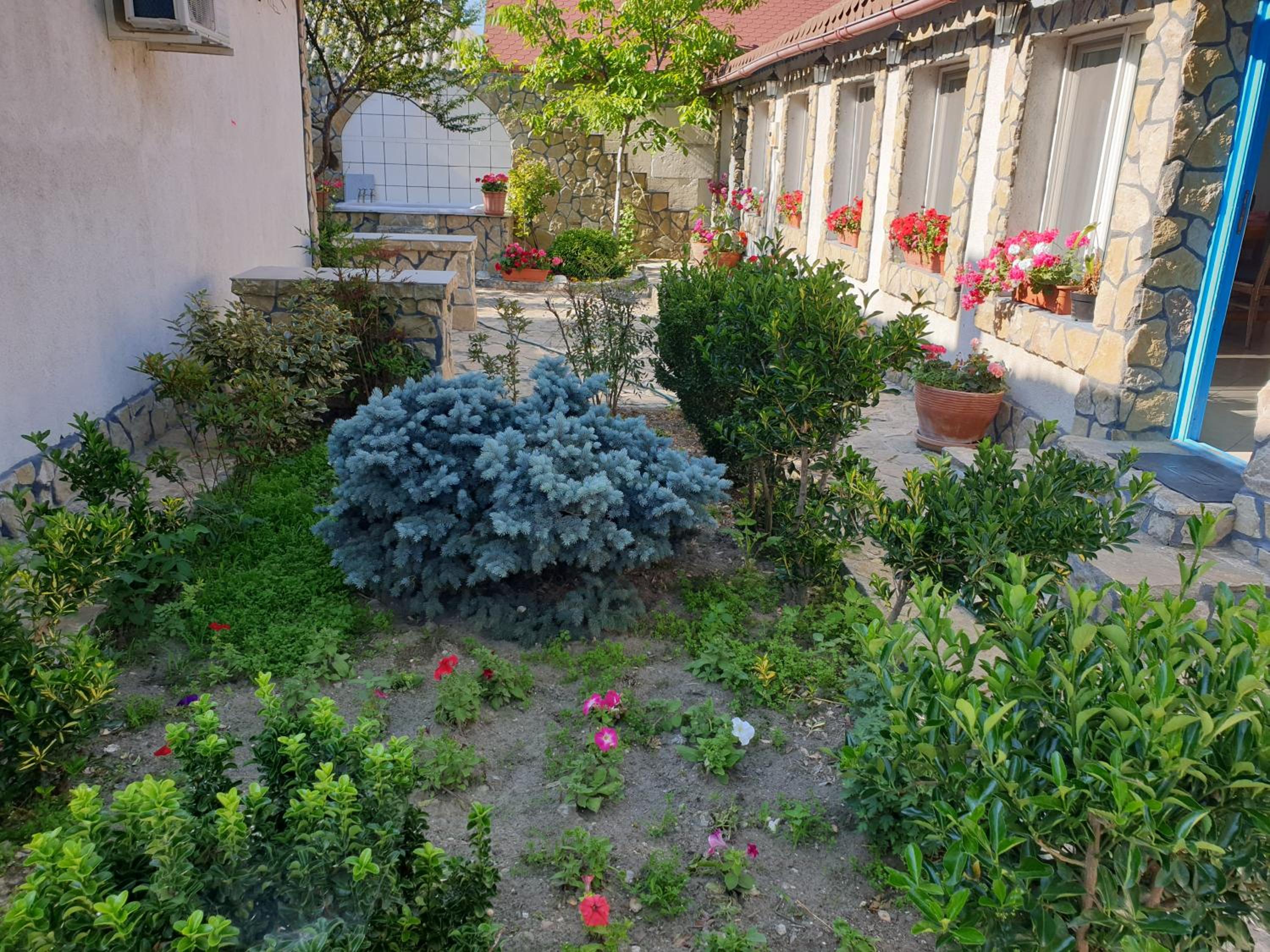 Photo 27