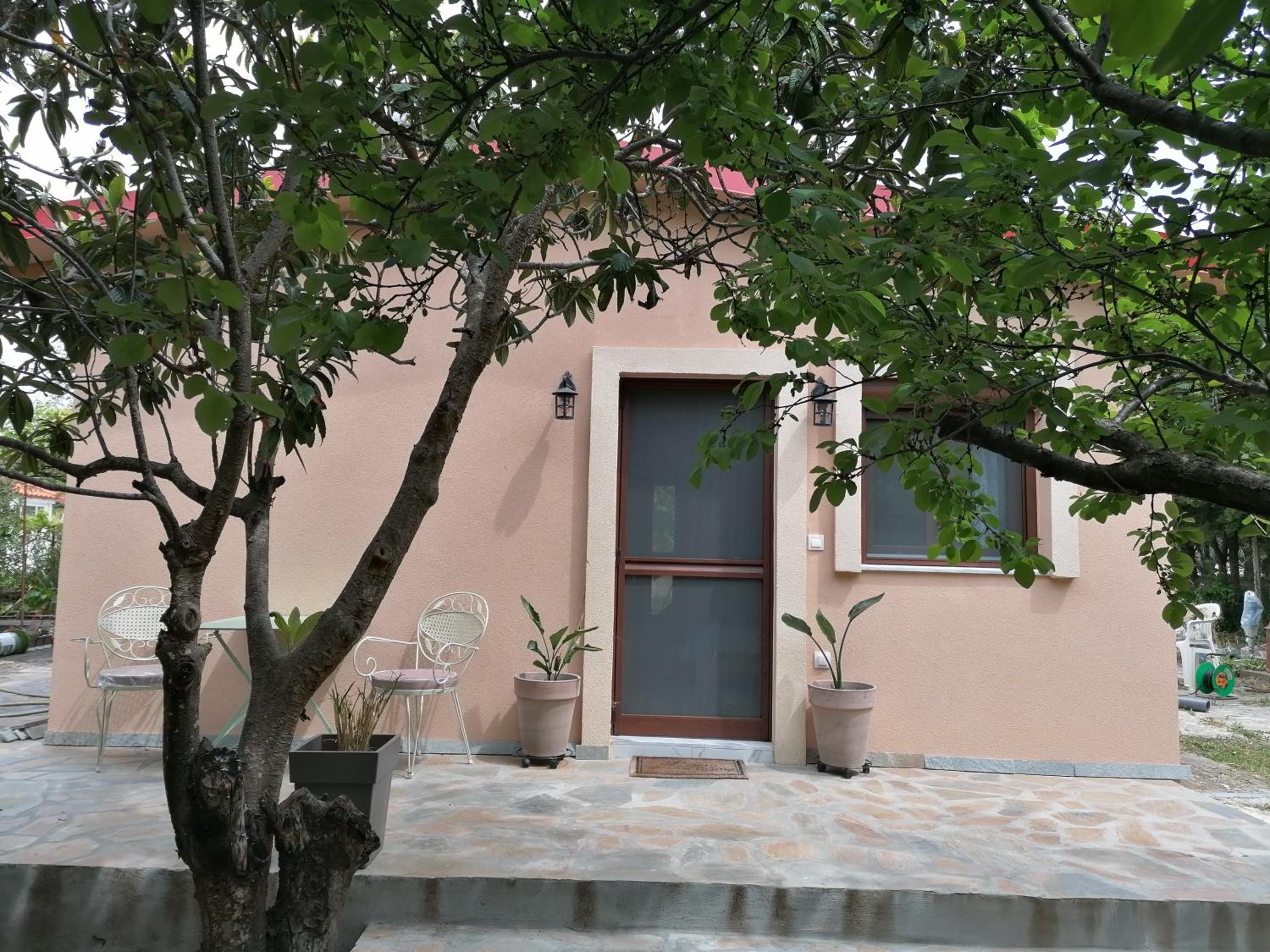 Tiny House by the Sea view 4