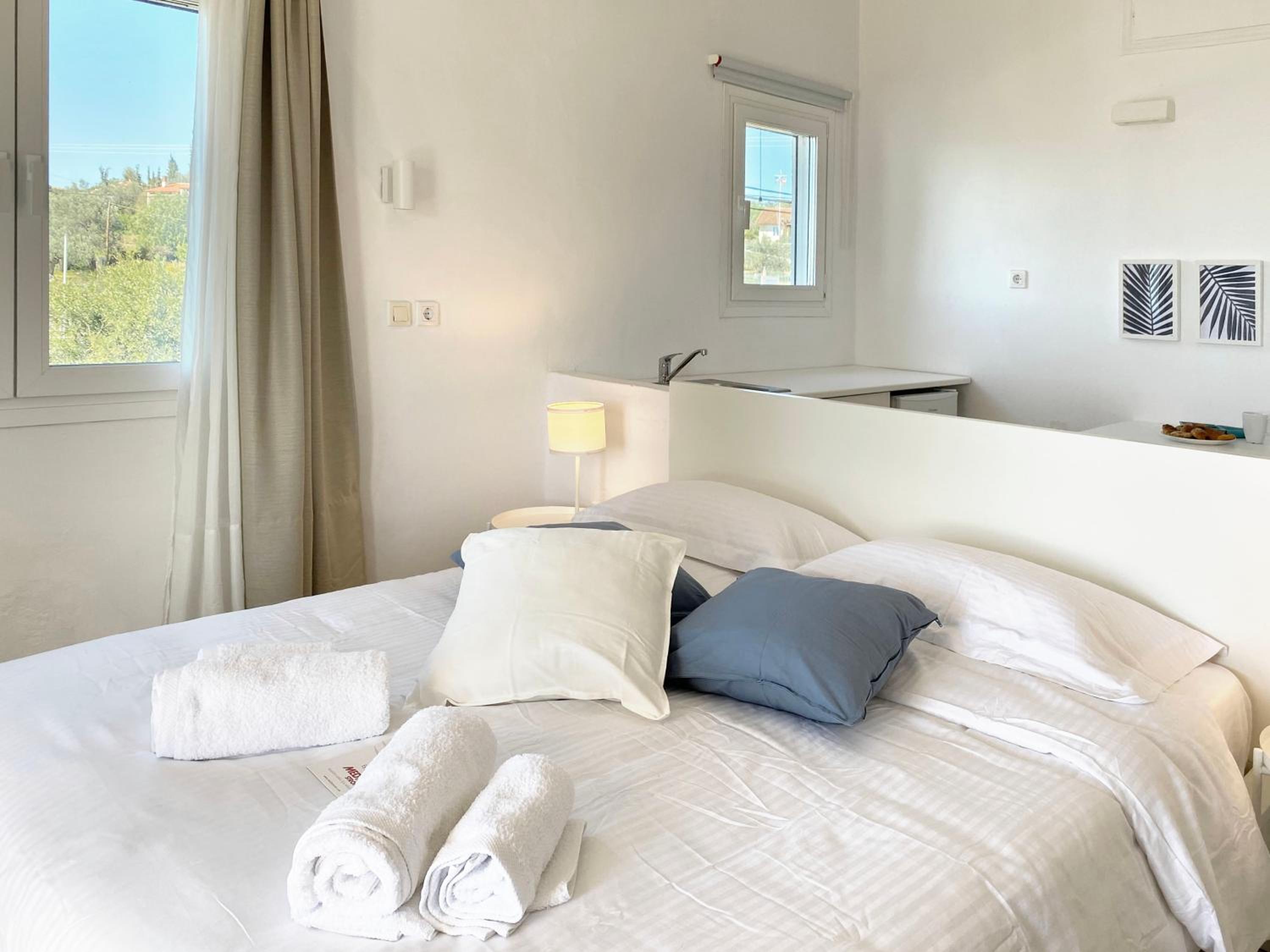Palm Suite Blue view 5