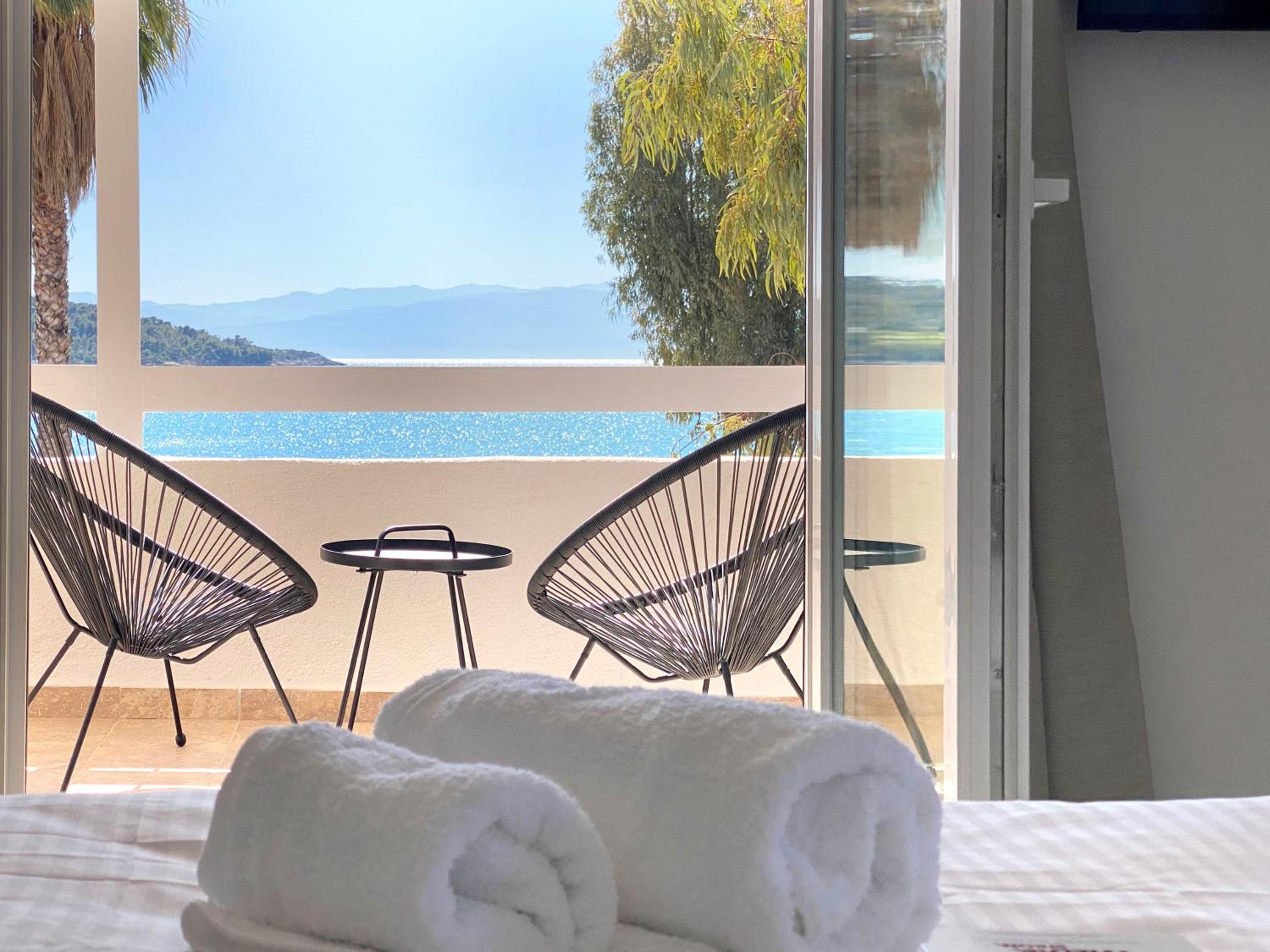 Palm Suite Blue view 3