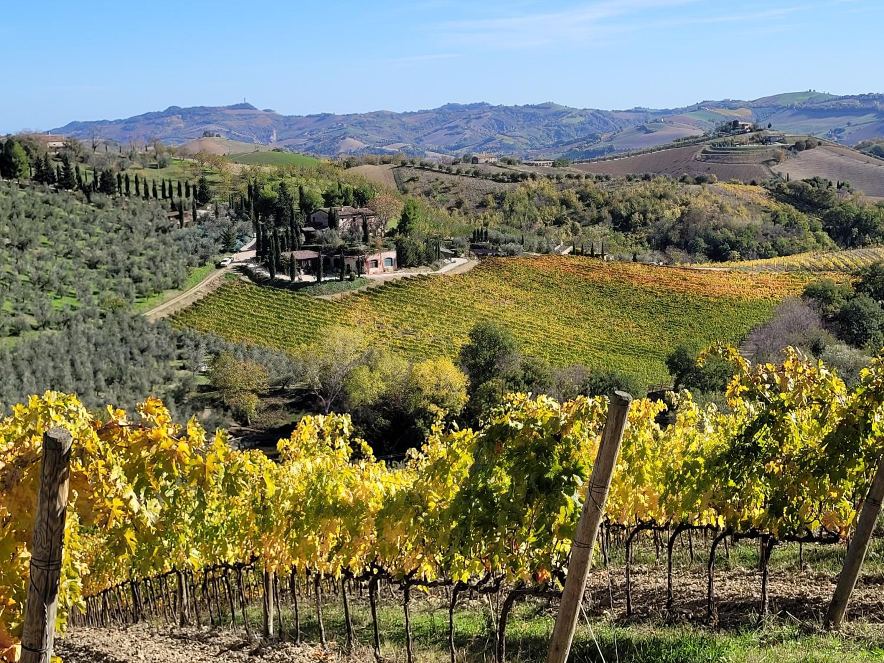 Agriturismo Fiorano view 4