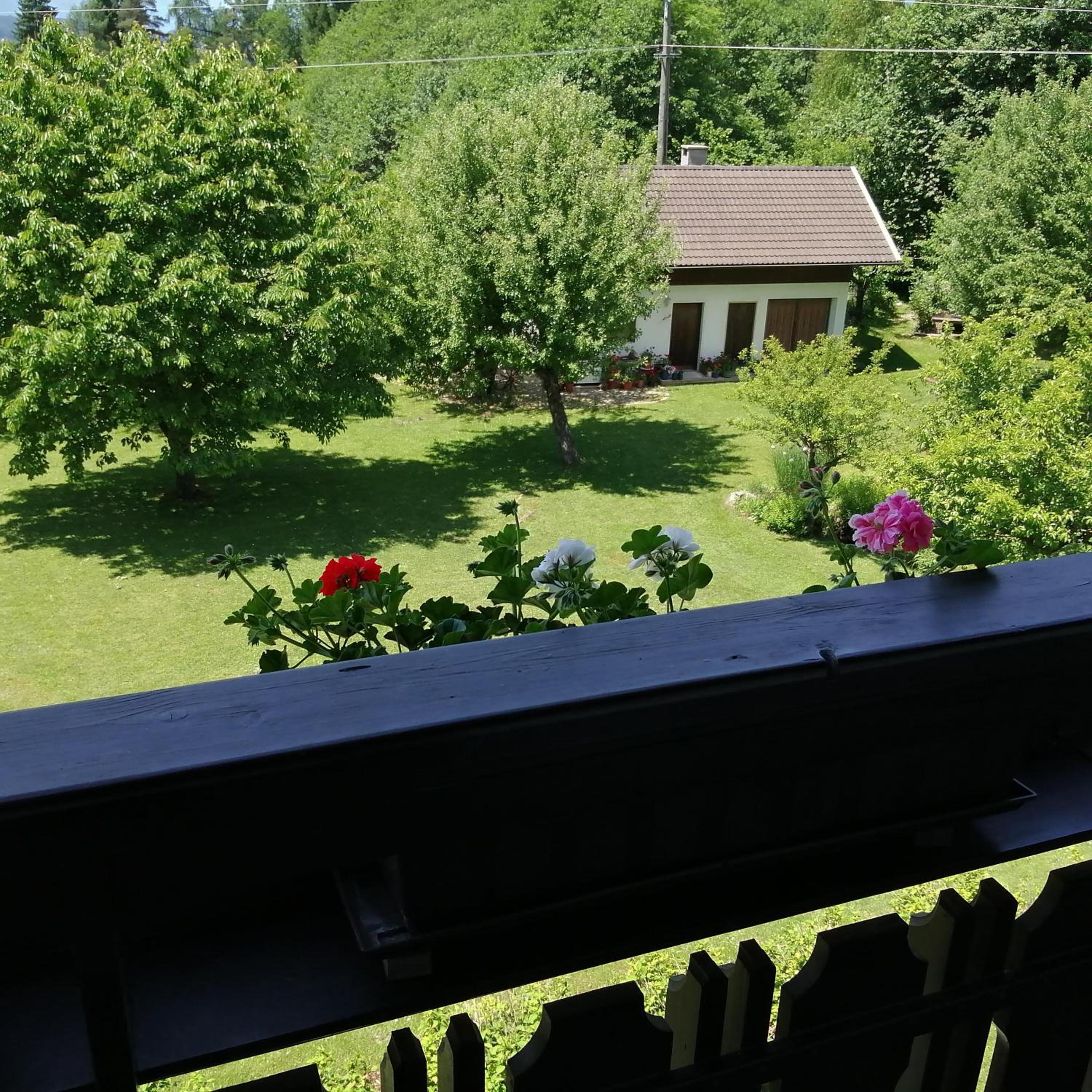 Photo 28