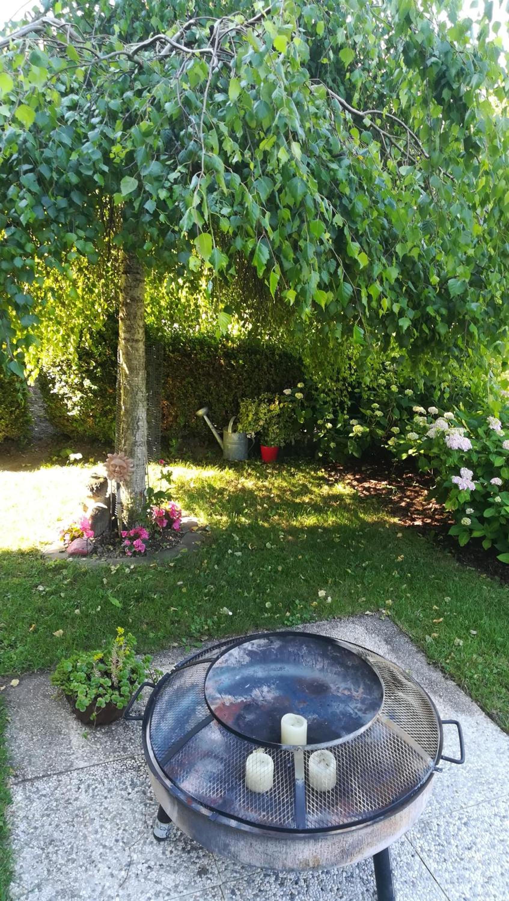 Photo 34