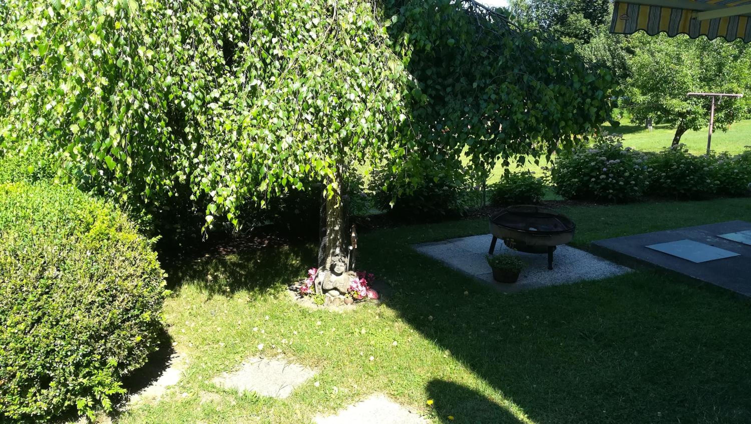 Photo 35
