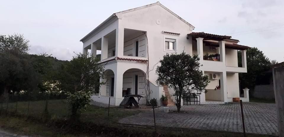 Elena's and Evie's Apartment