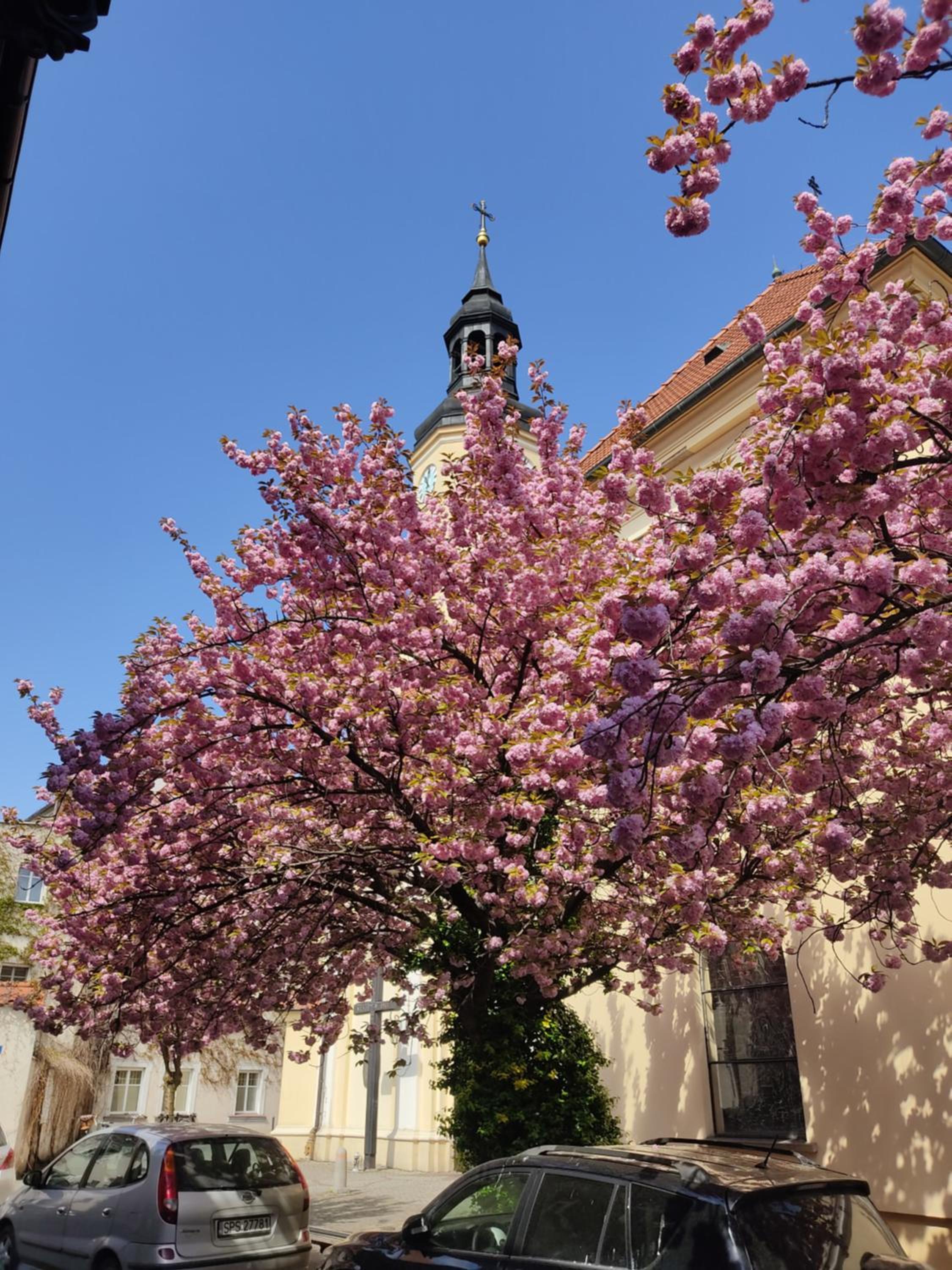 Apartament przy Zamku