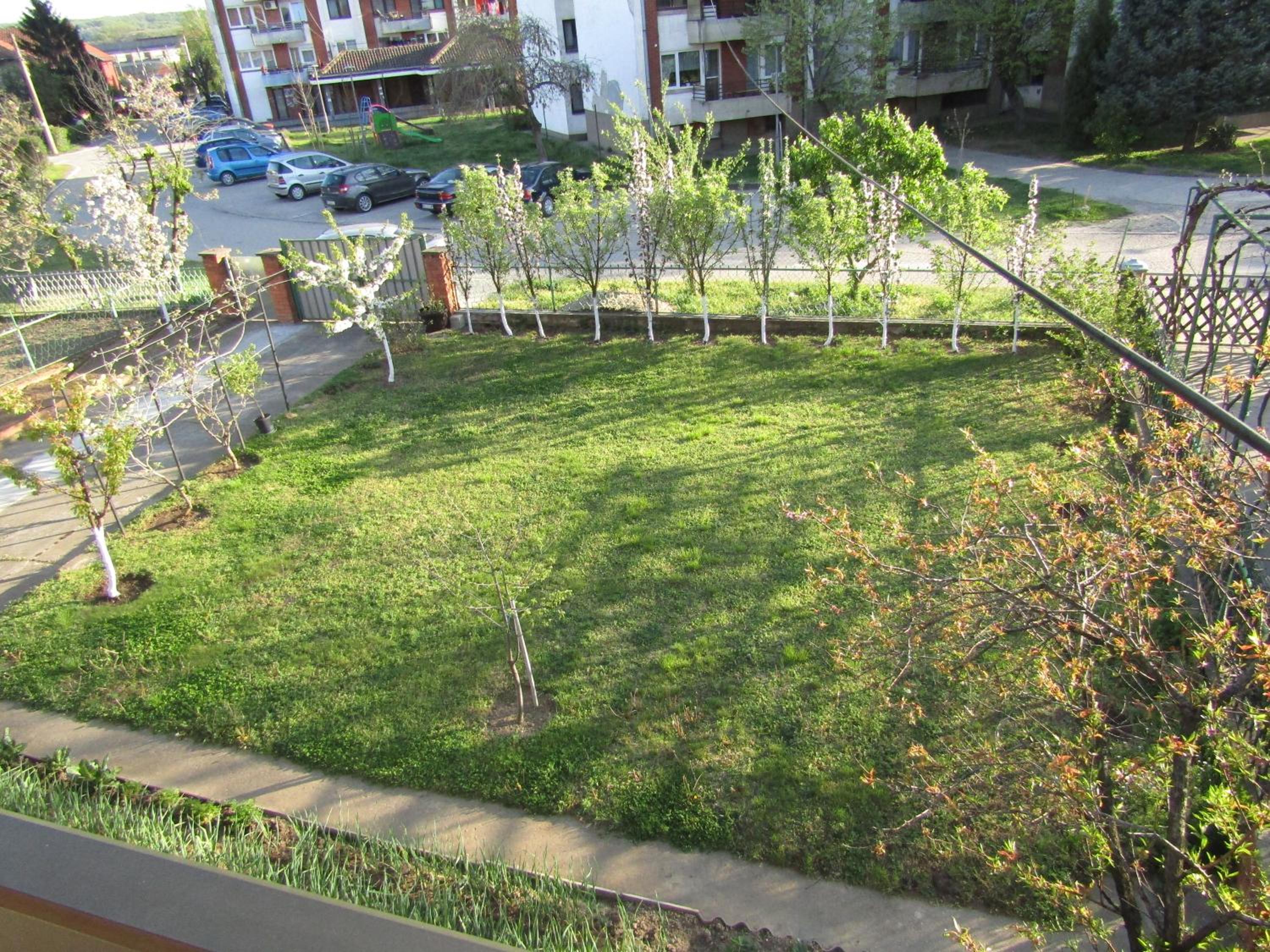 Photo 19