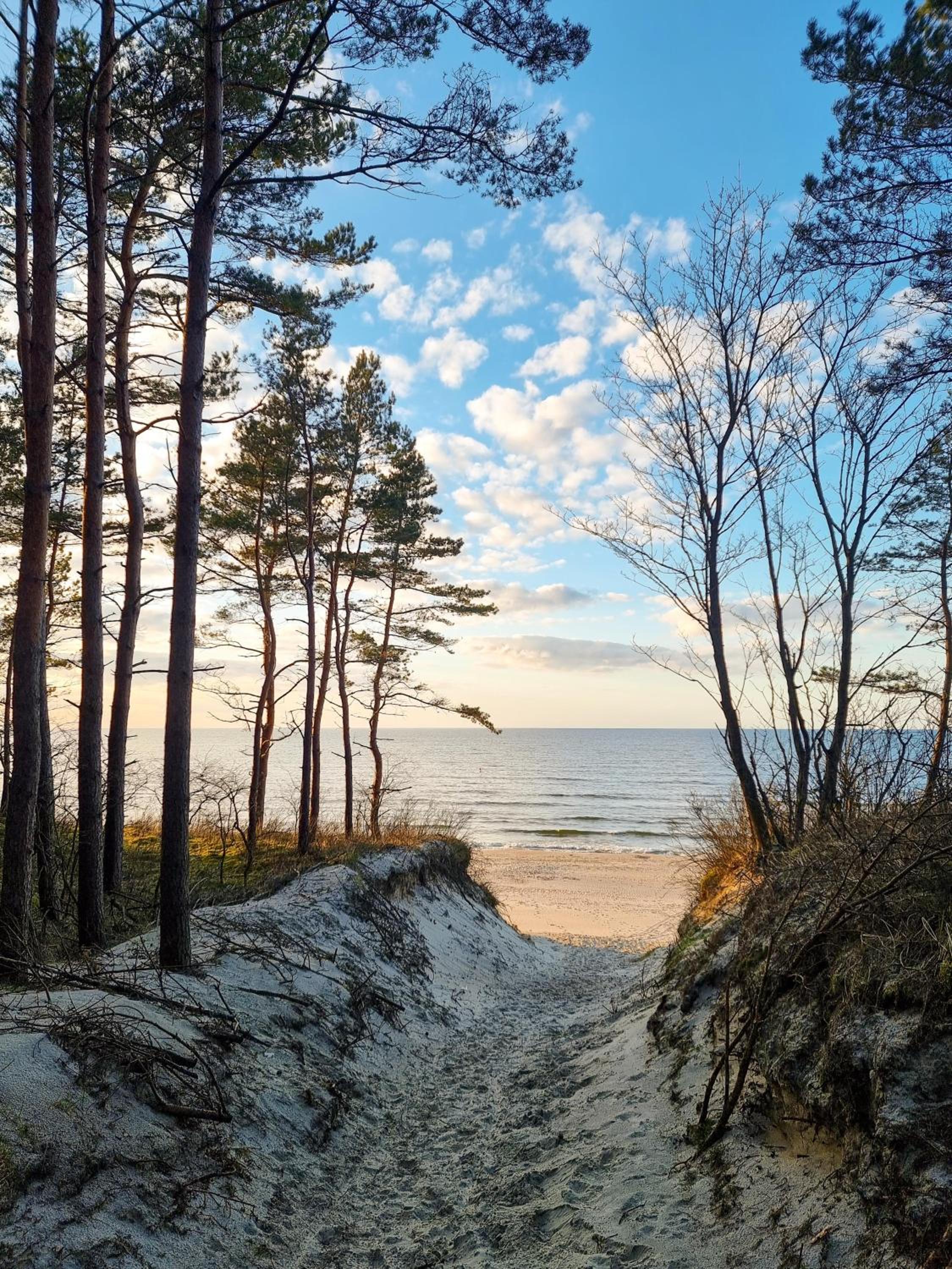 Domek całoroczny nad morzem Stegna Baltica view 3