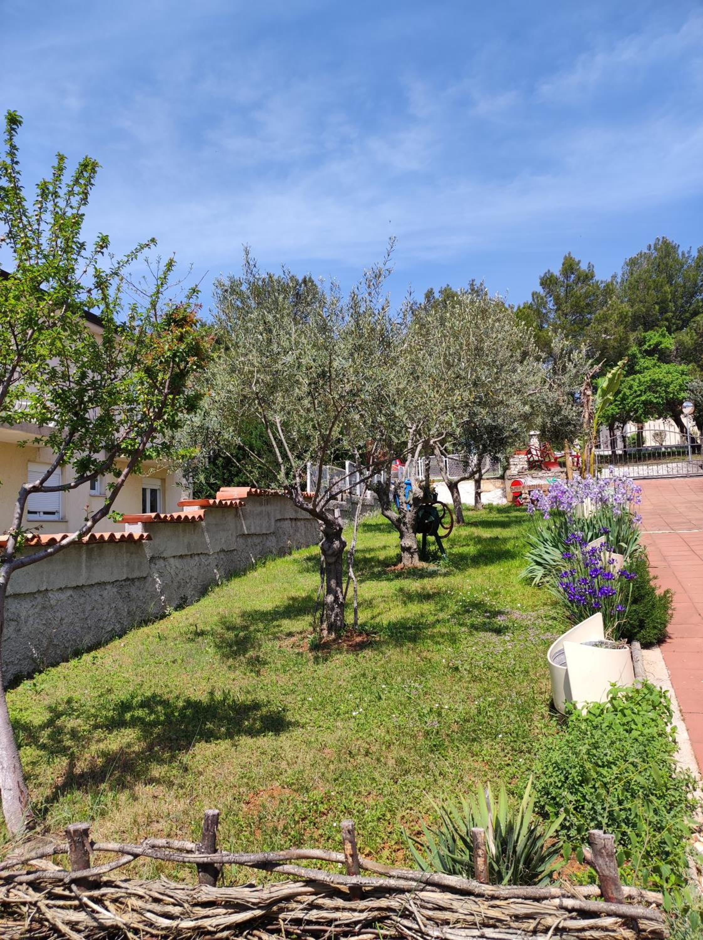 Photo 42