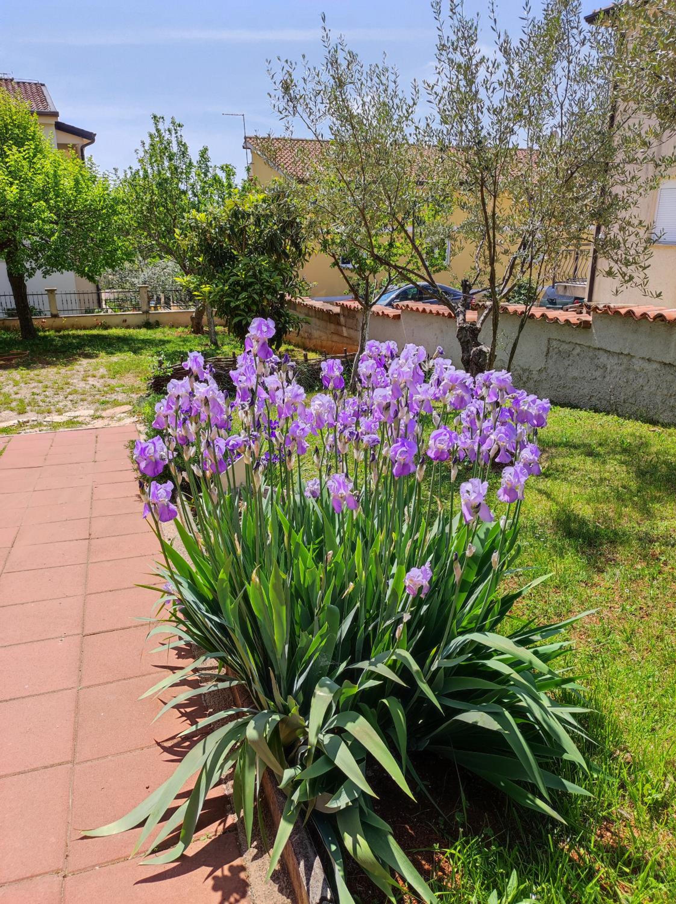 Photo 43