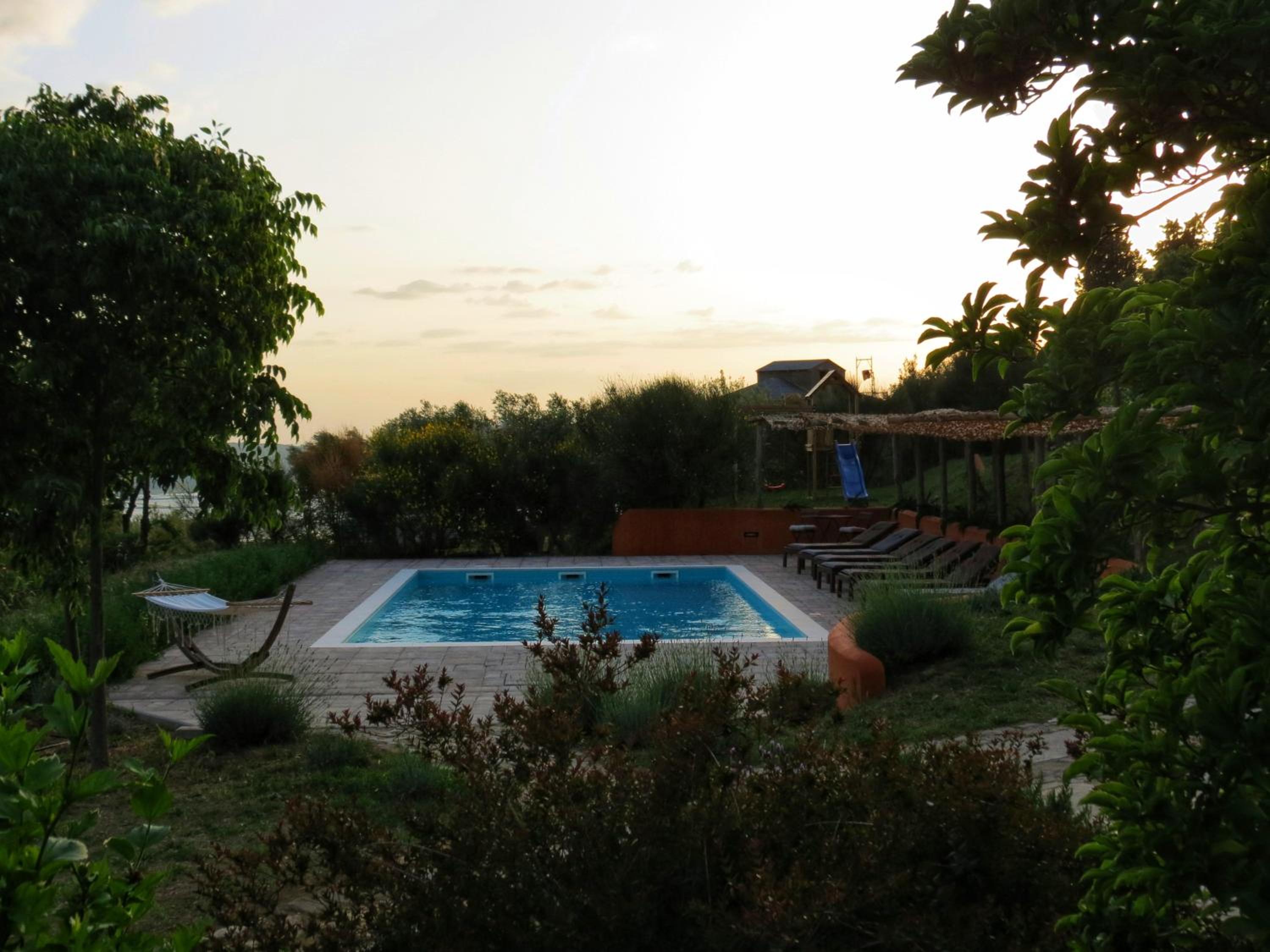 Photo 7