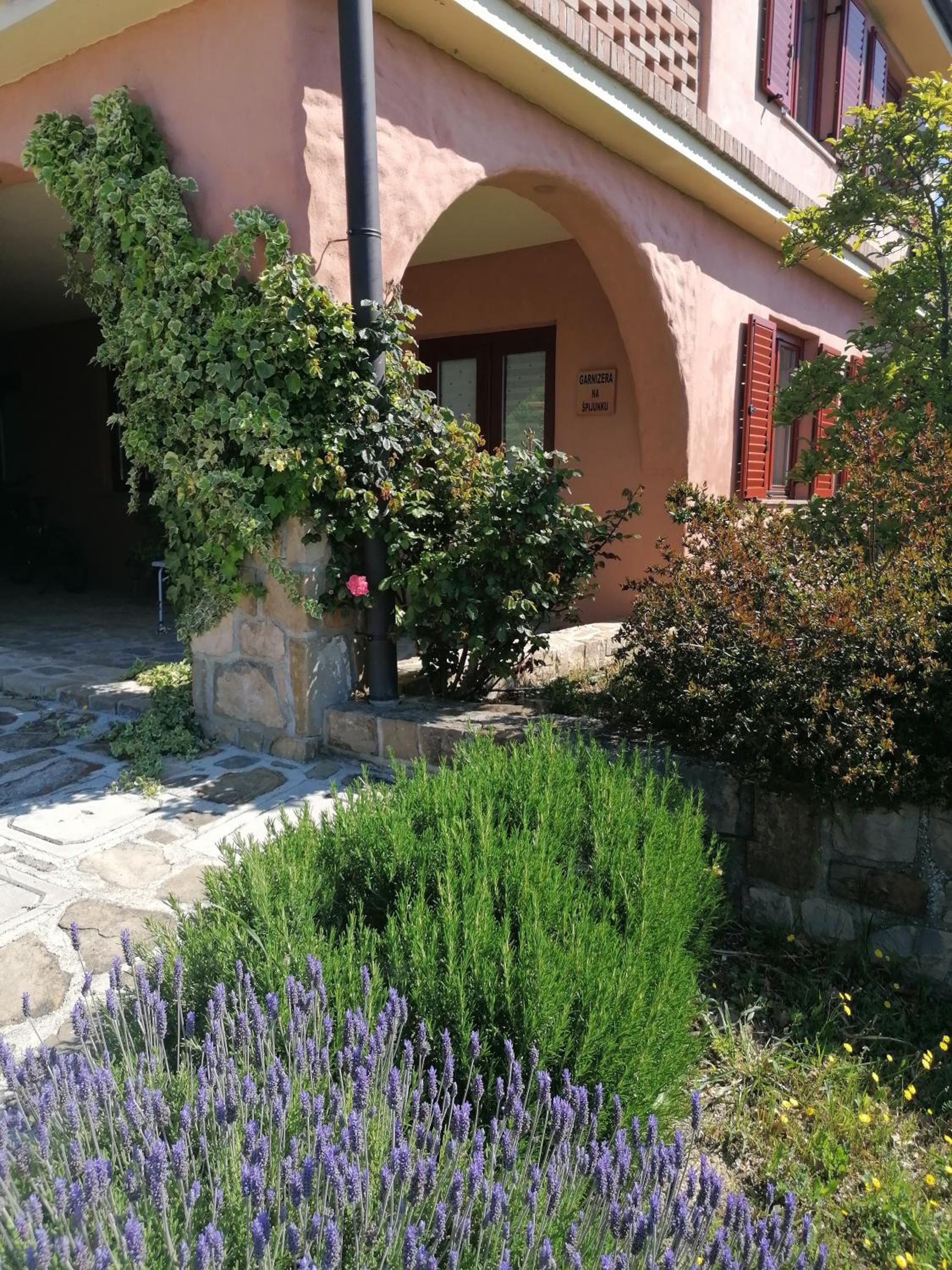 Photo 17