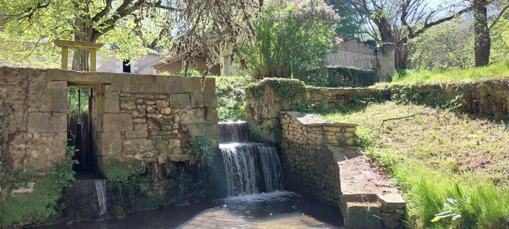Le moulin du Mesnil view 4