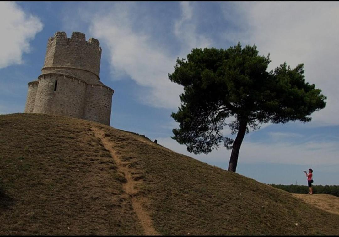 Photo 20