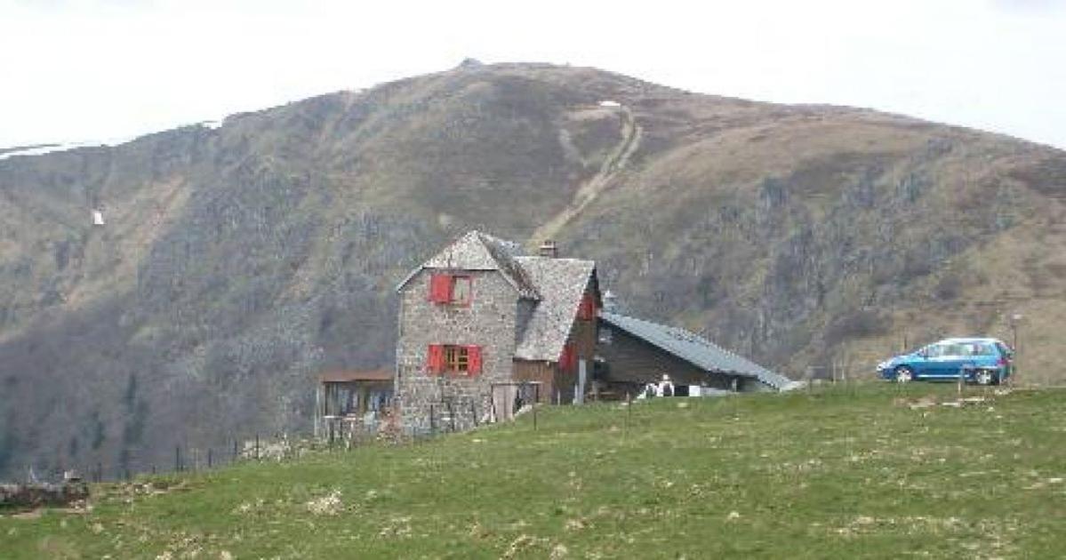 Photo 48