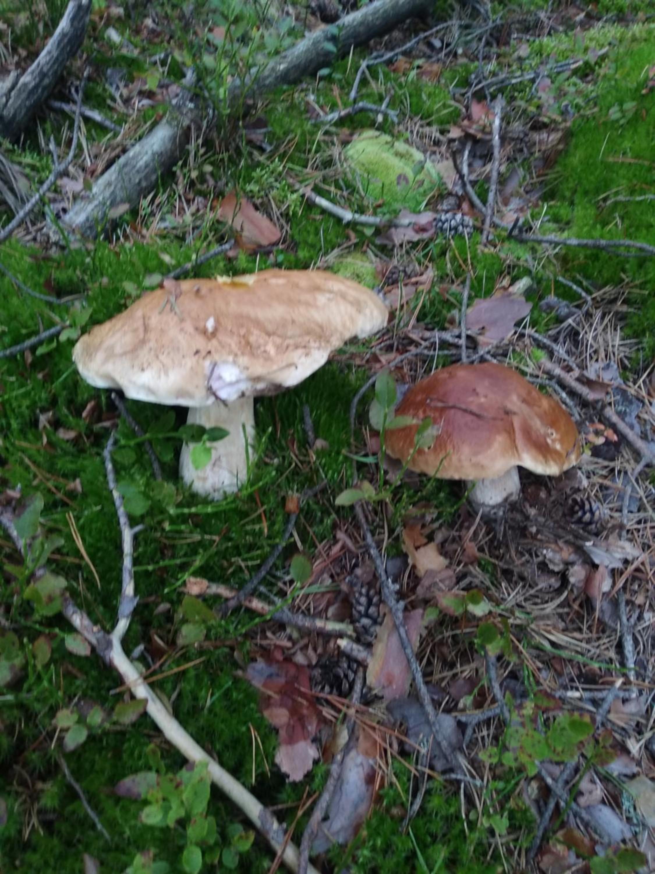 Photo 14