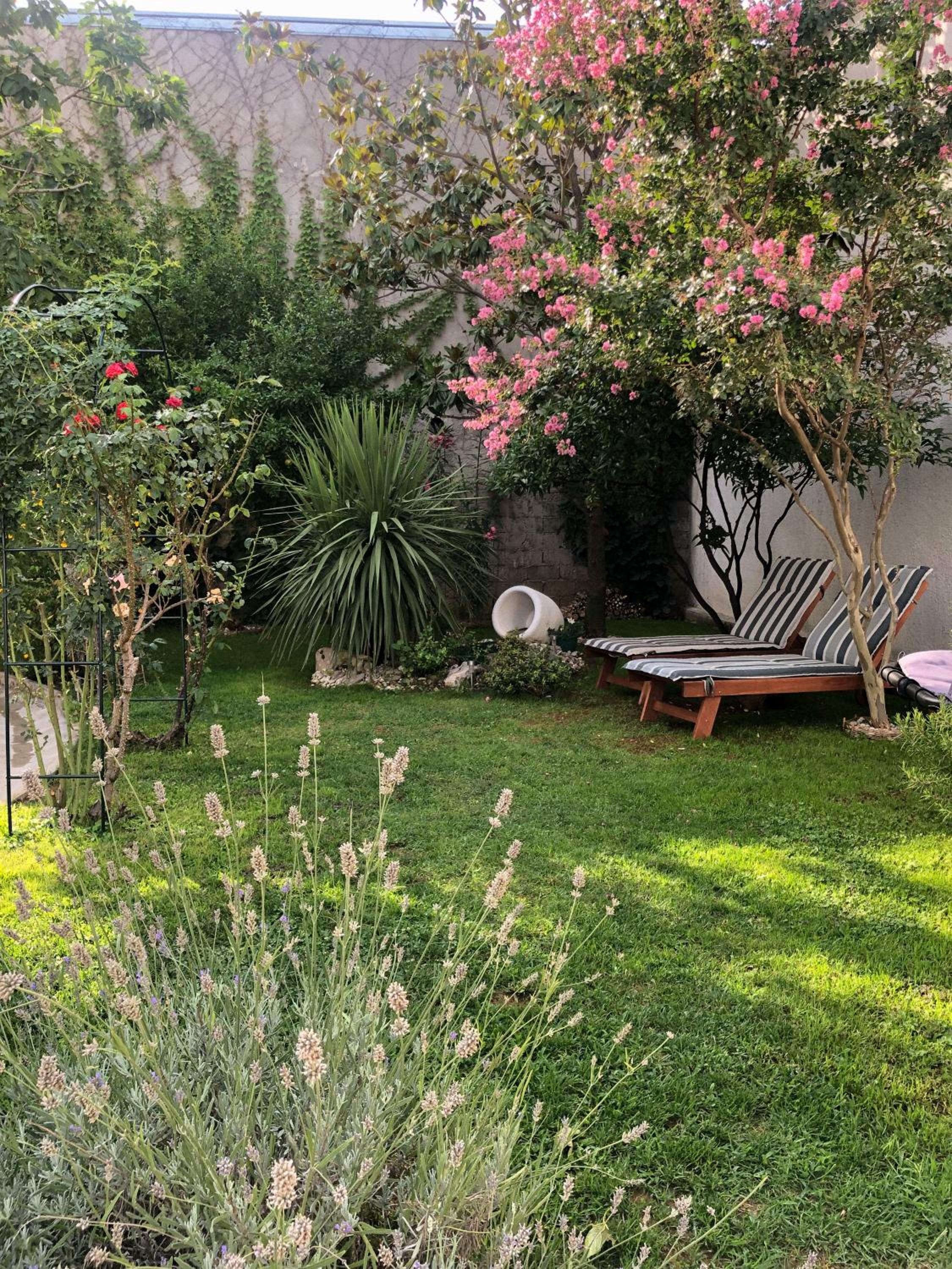 Photo 36