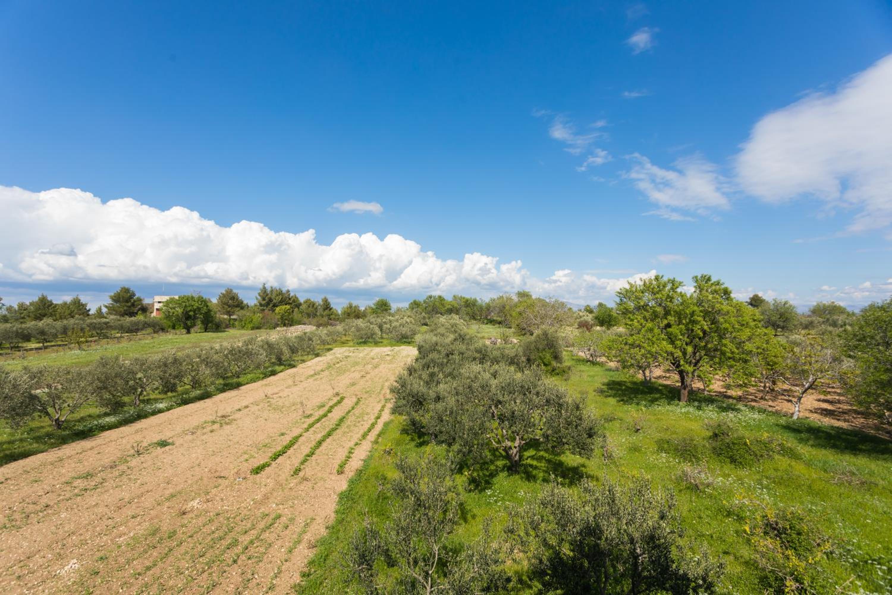 MG Holiday Home view 5