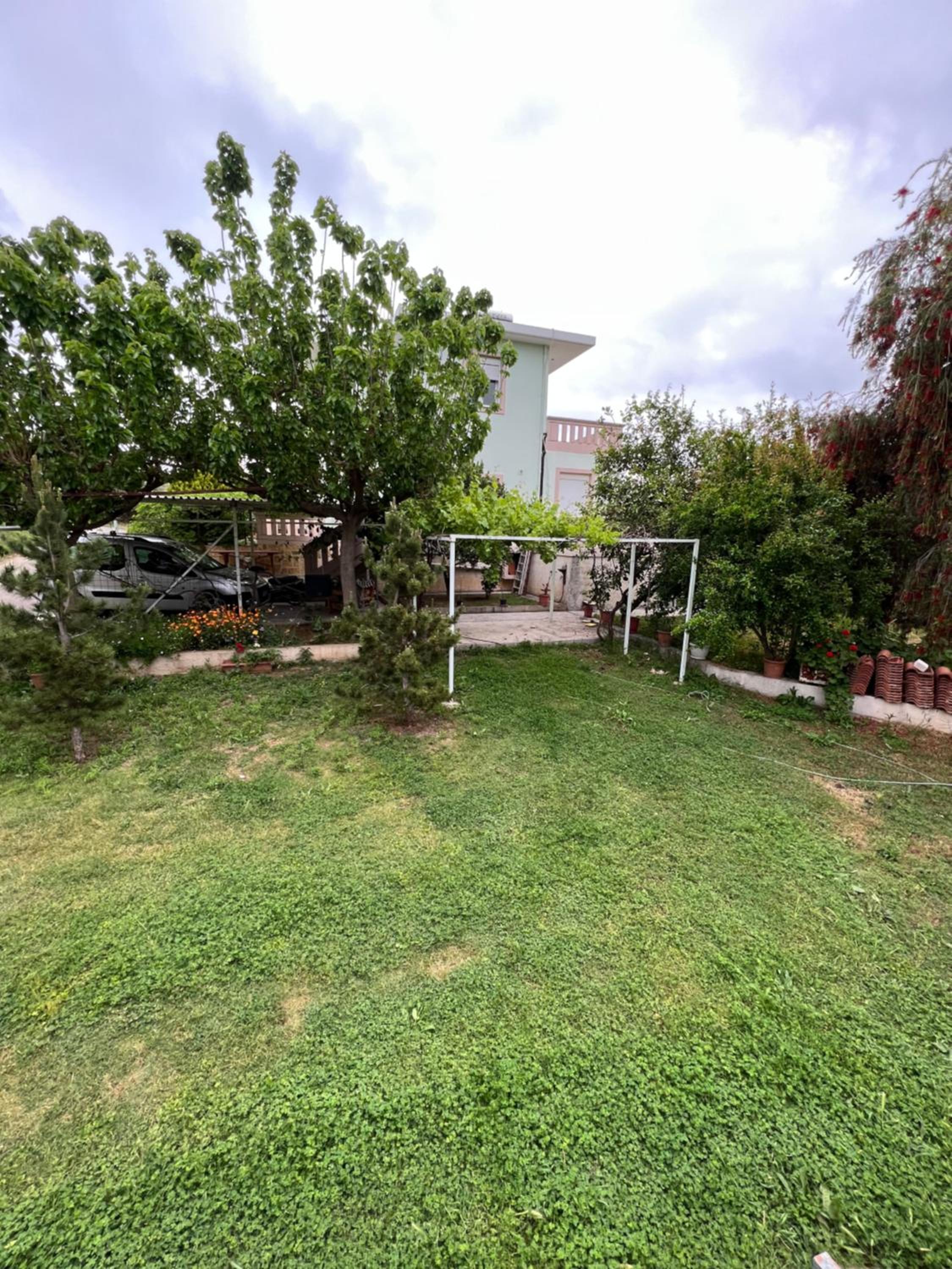 Photo 32