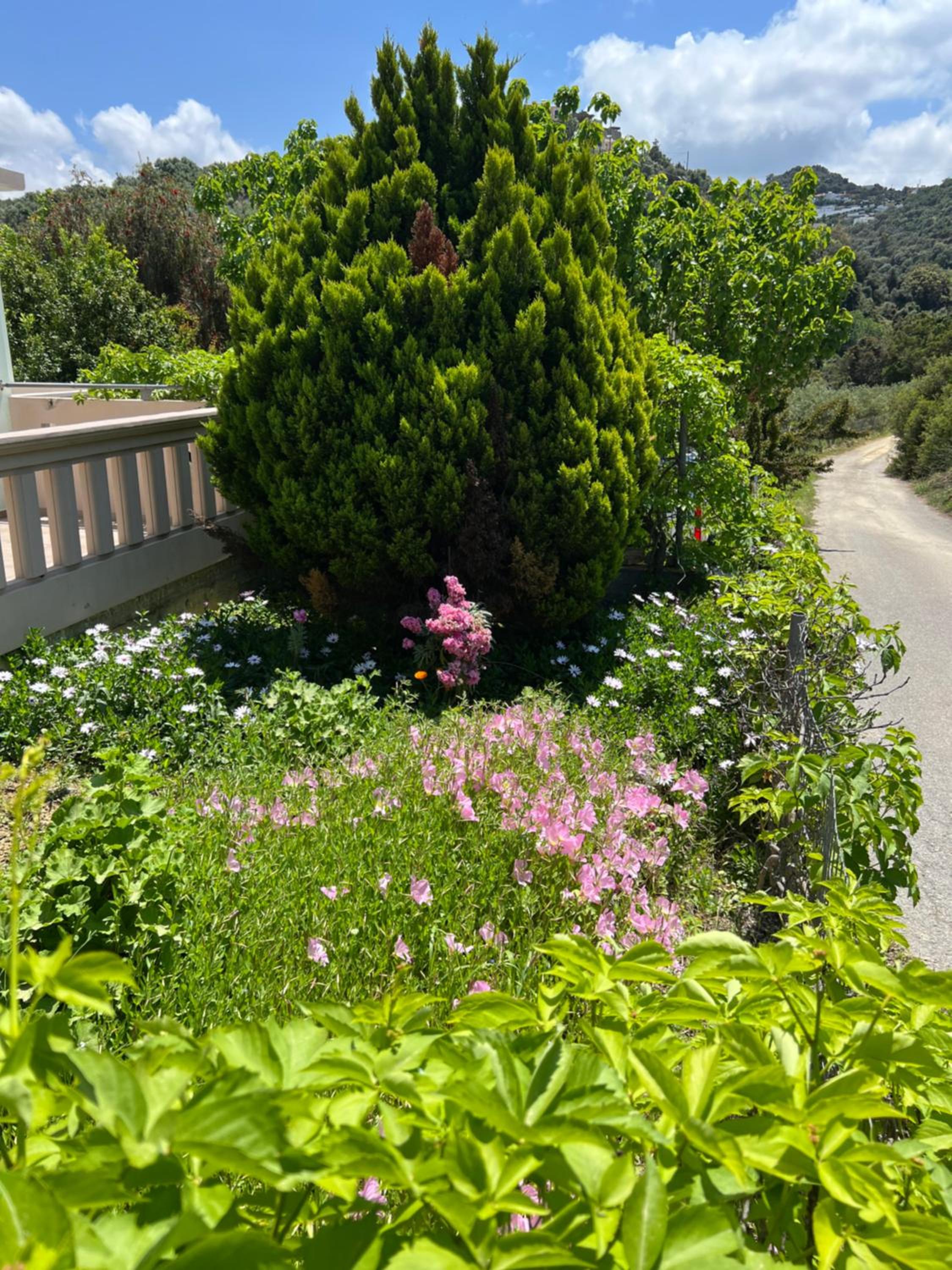 Photo 31