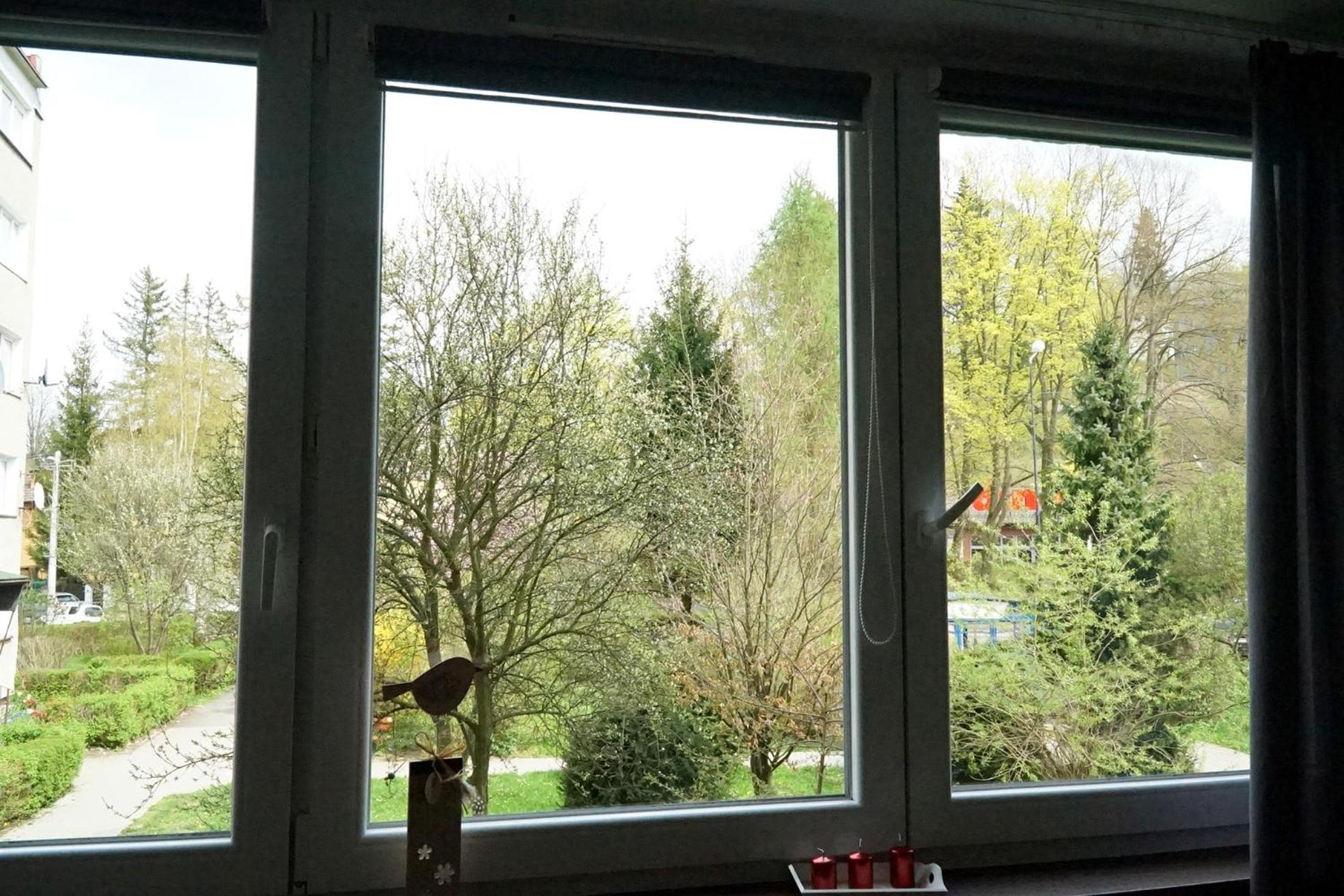 Wisienka view 2