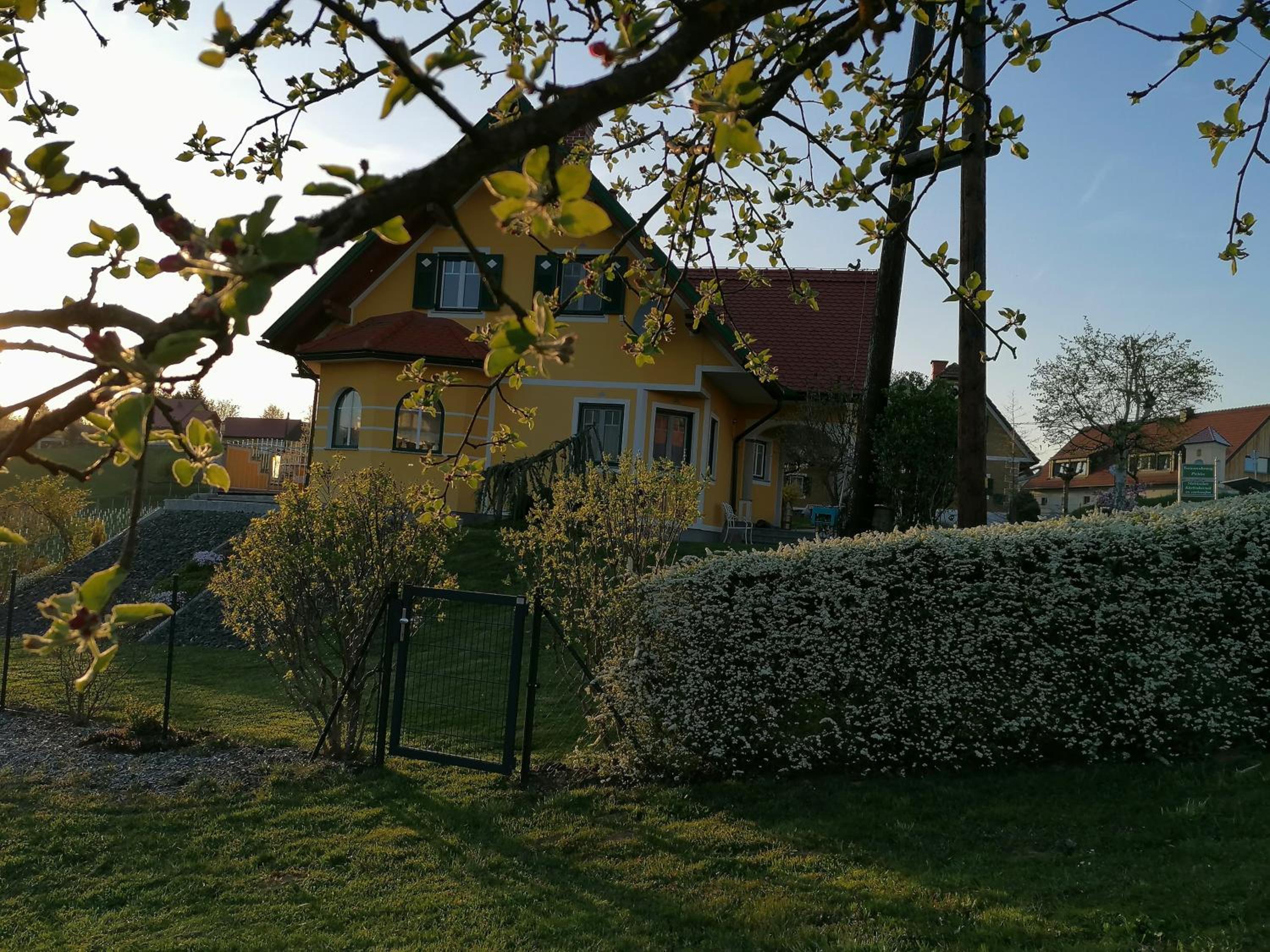 Photo 26