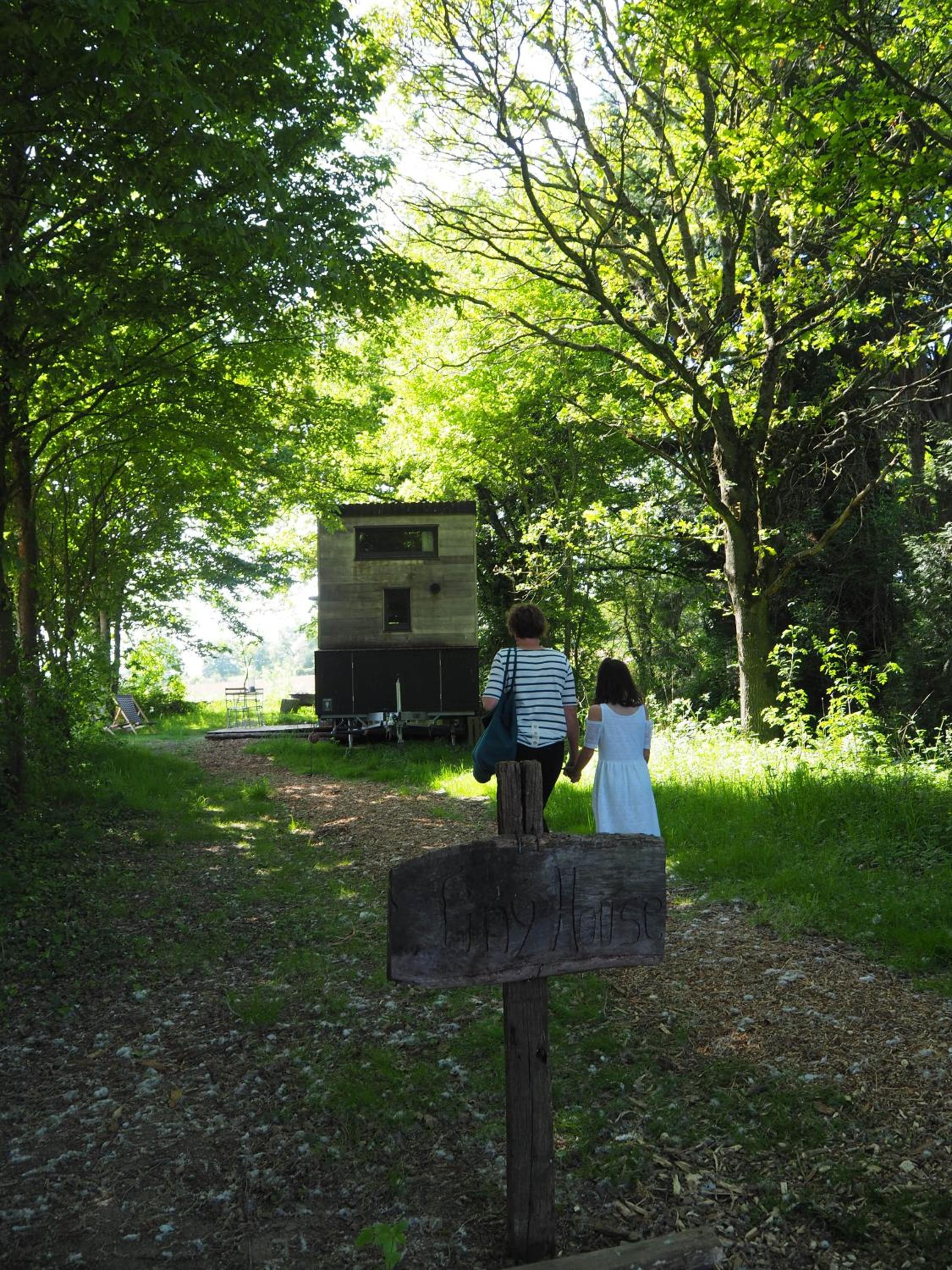 Ecolodge La Belle Verte view 4