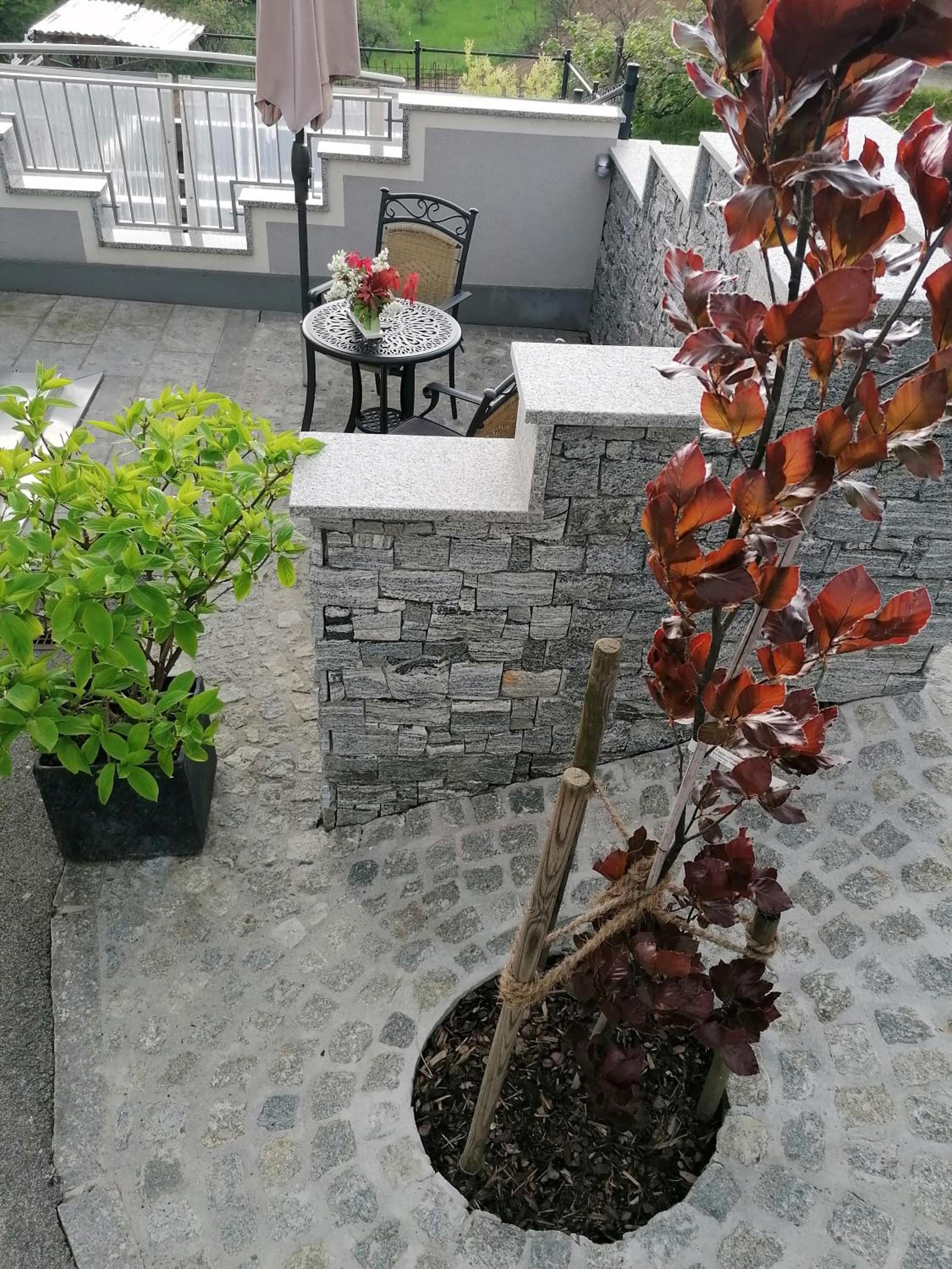 Photo 46