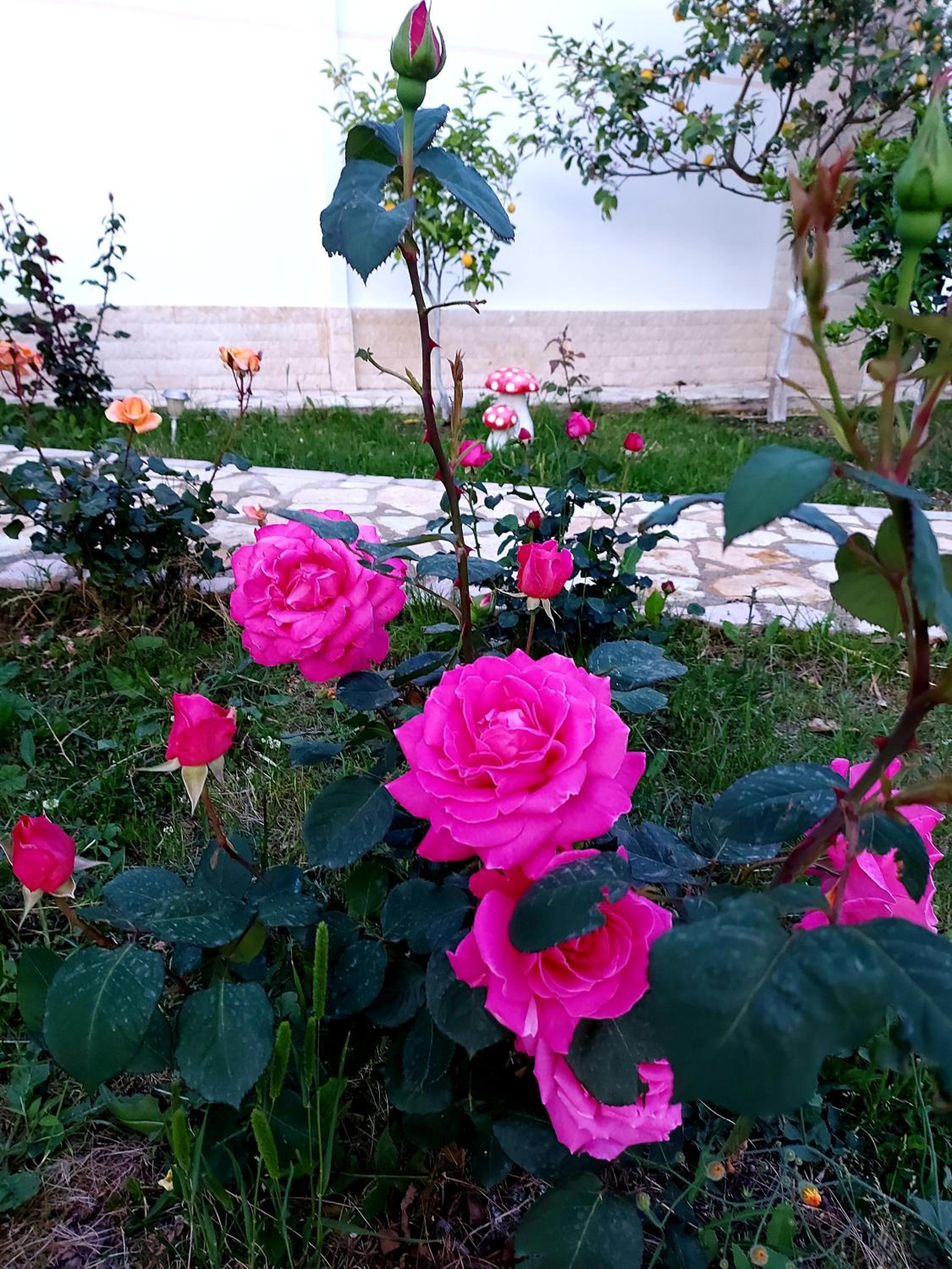 Vlore Casa Vacanze