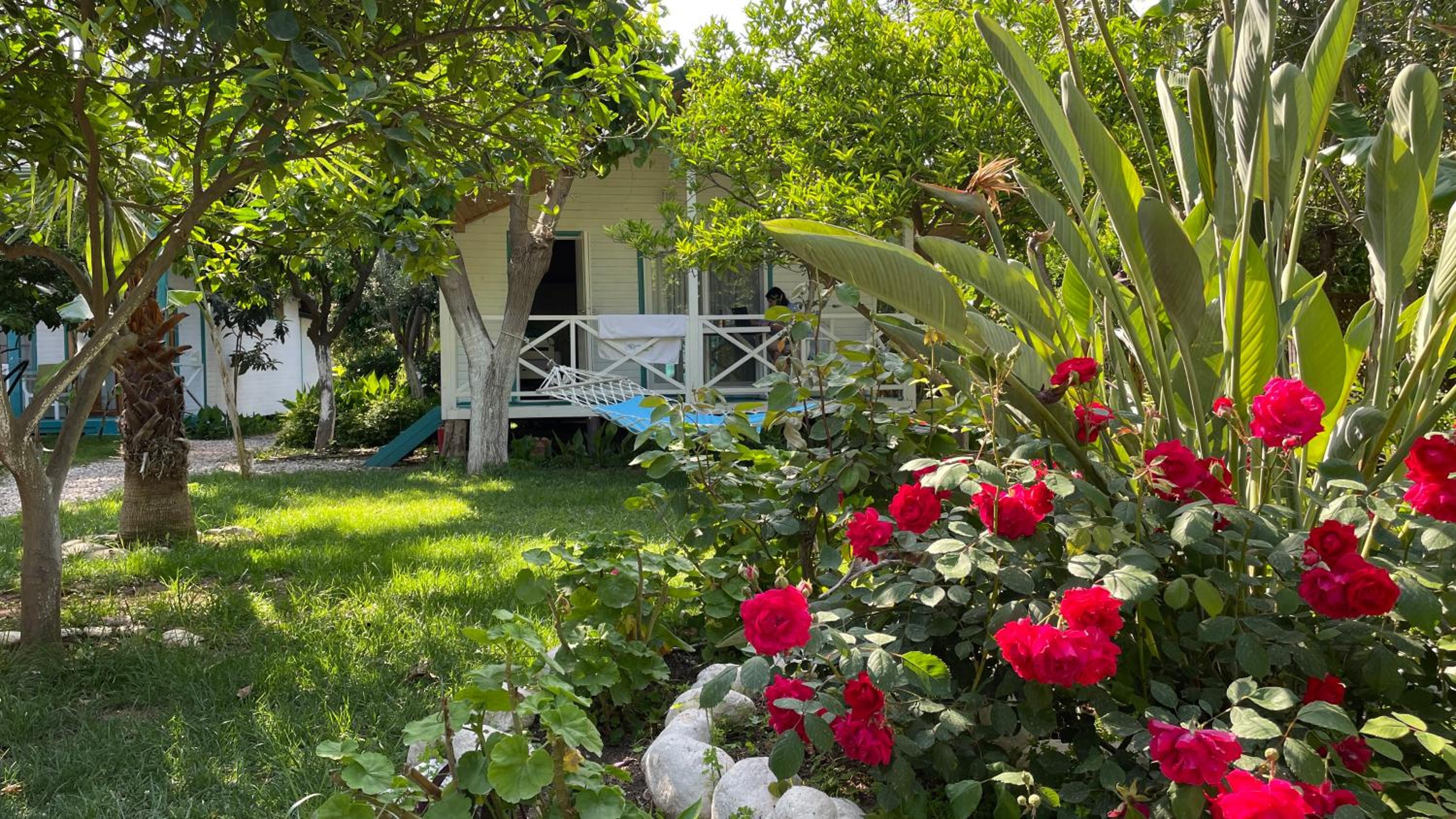 Bellerofon Beach Otel view 3