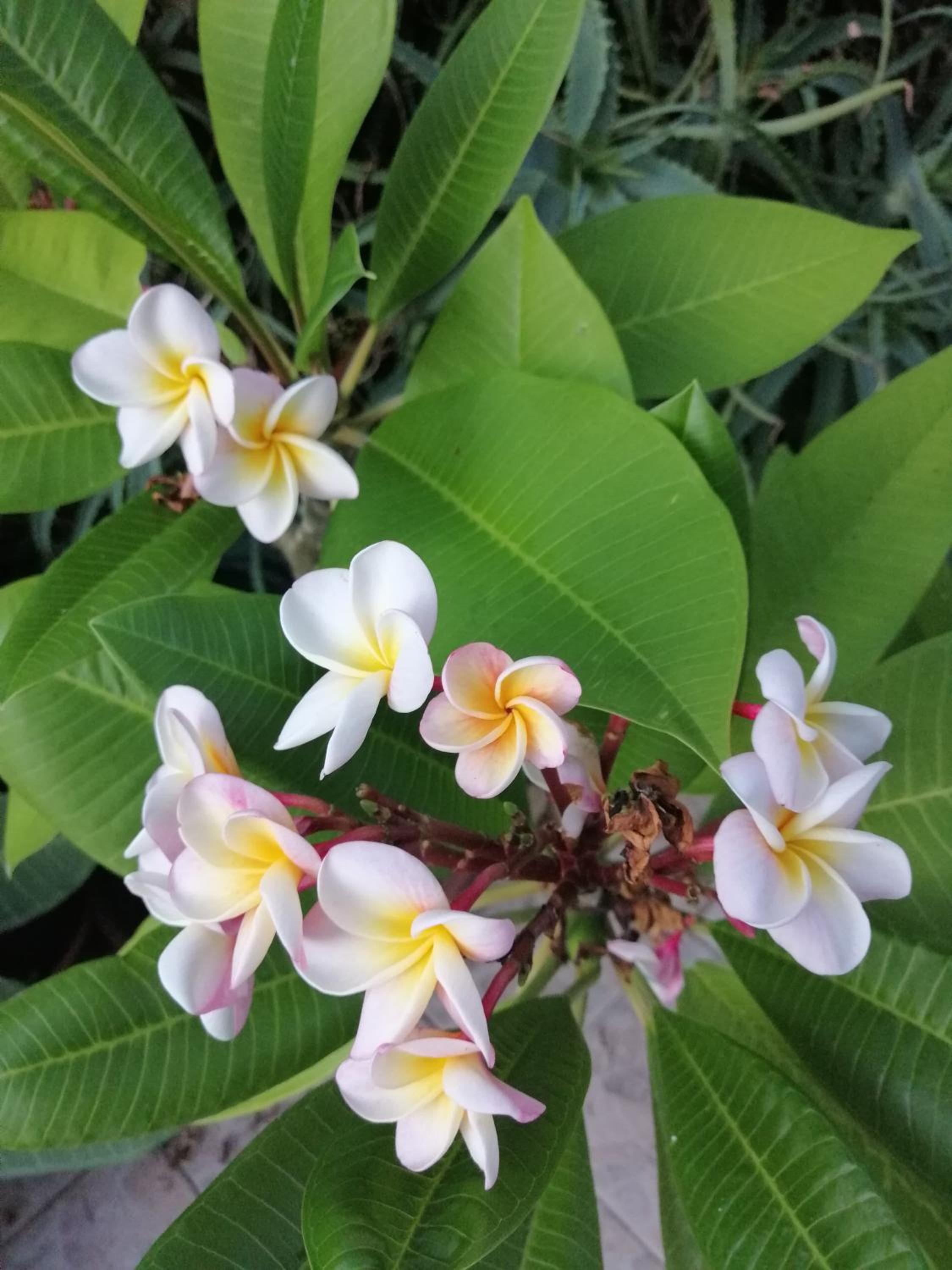 Photo 42