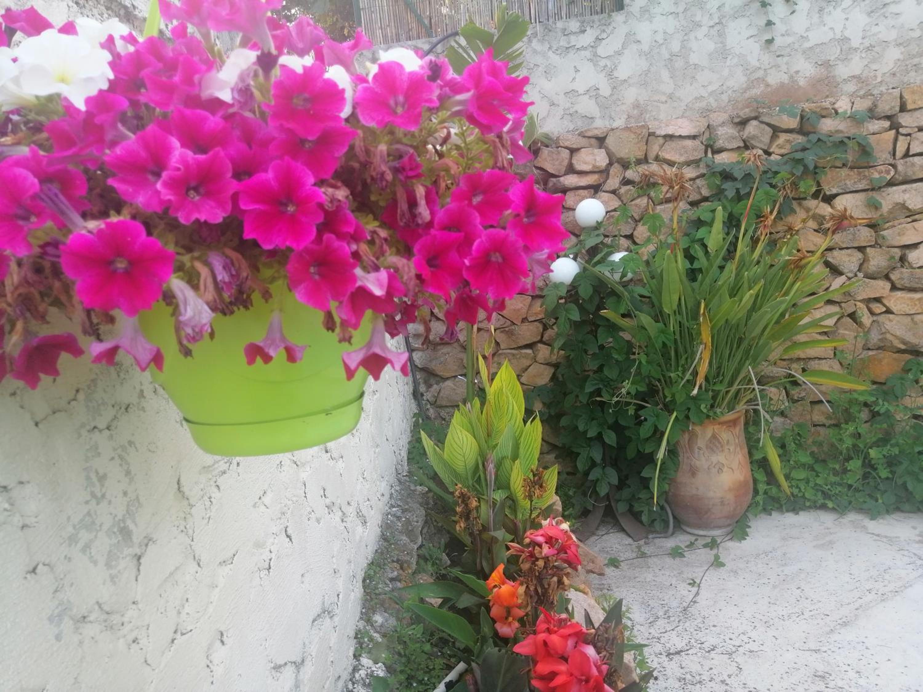 Photo 46