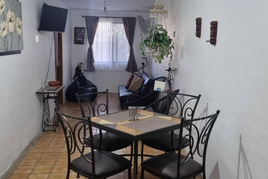 Encantador departamento con alberca en PB a 10min Playa view 2