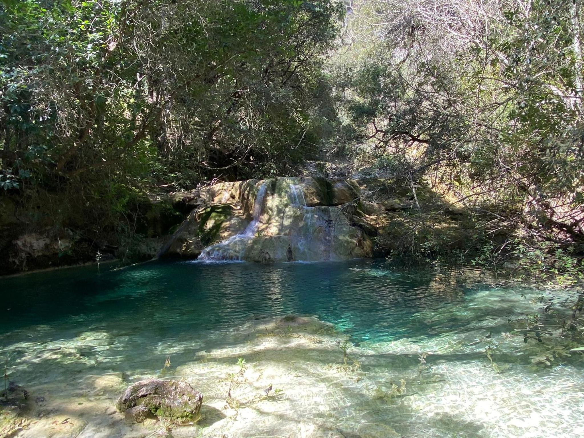 Photo 16