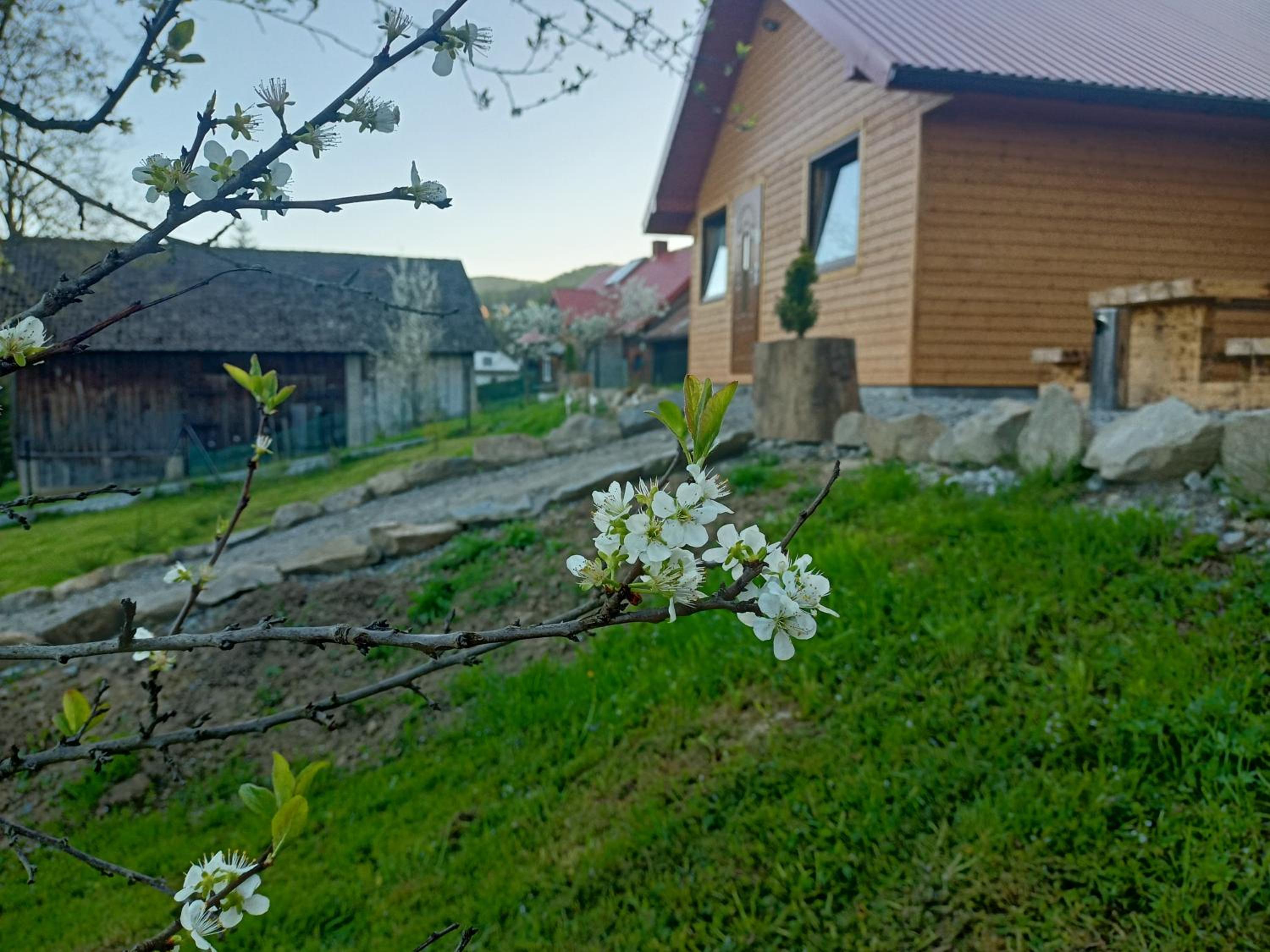 Photo 19