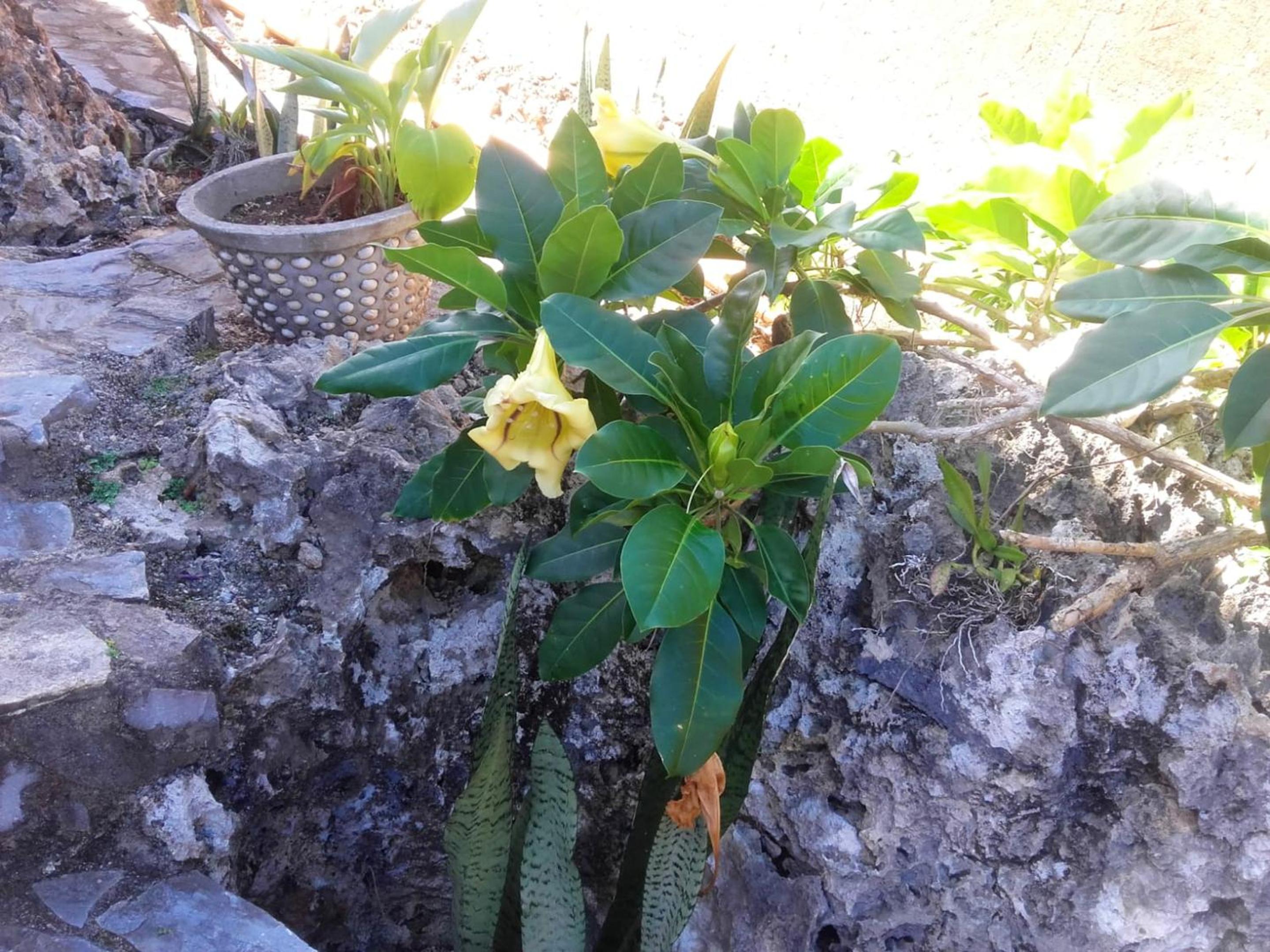 Photo 21