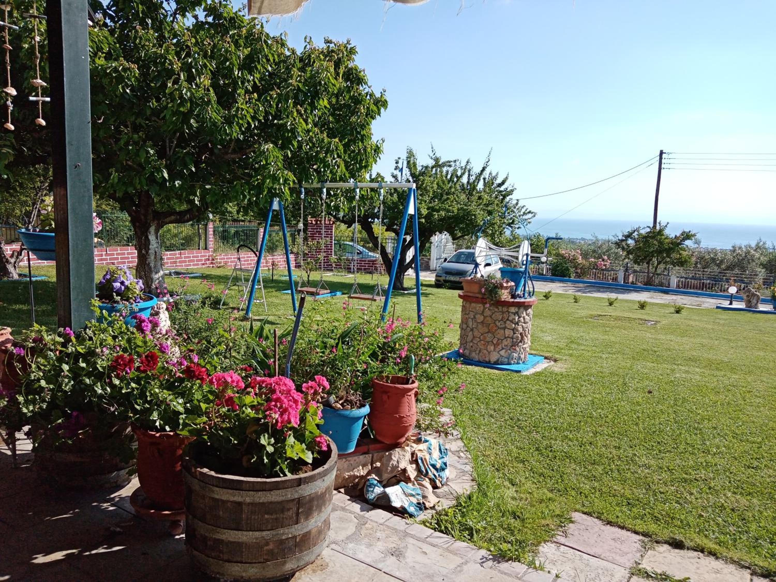 Photo 8