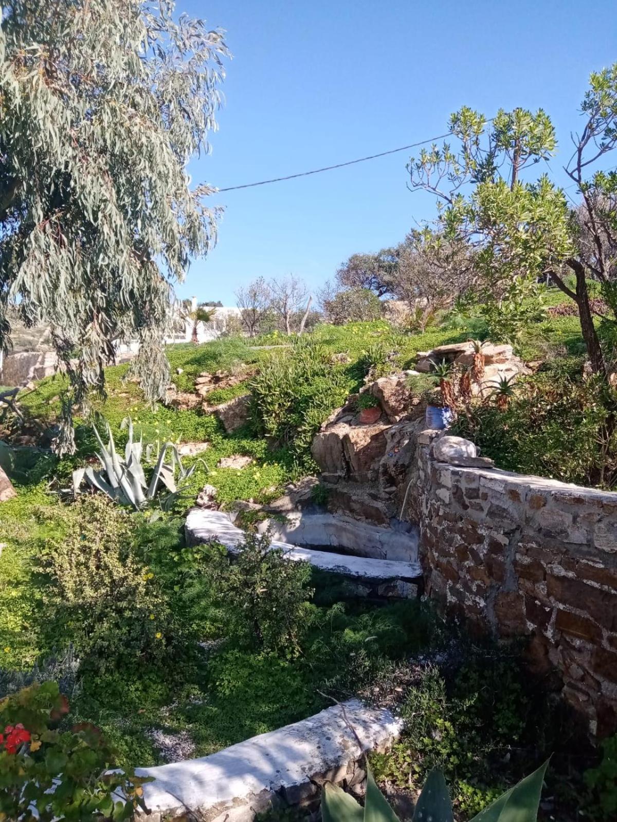 Photo 40