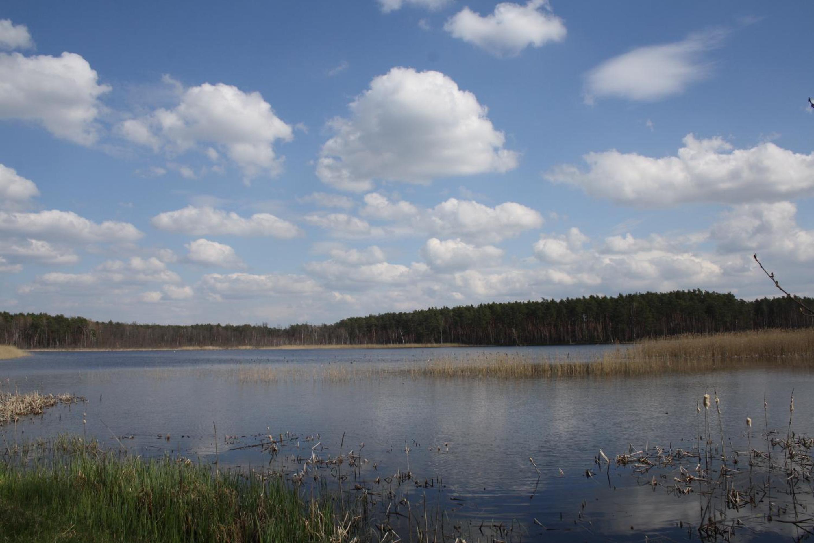 Photo 38