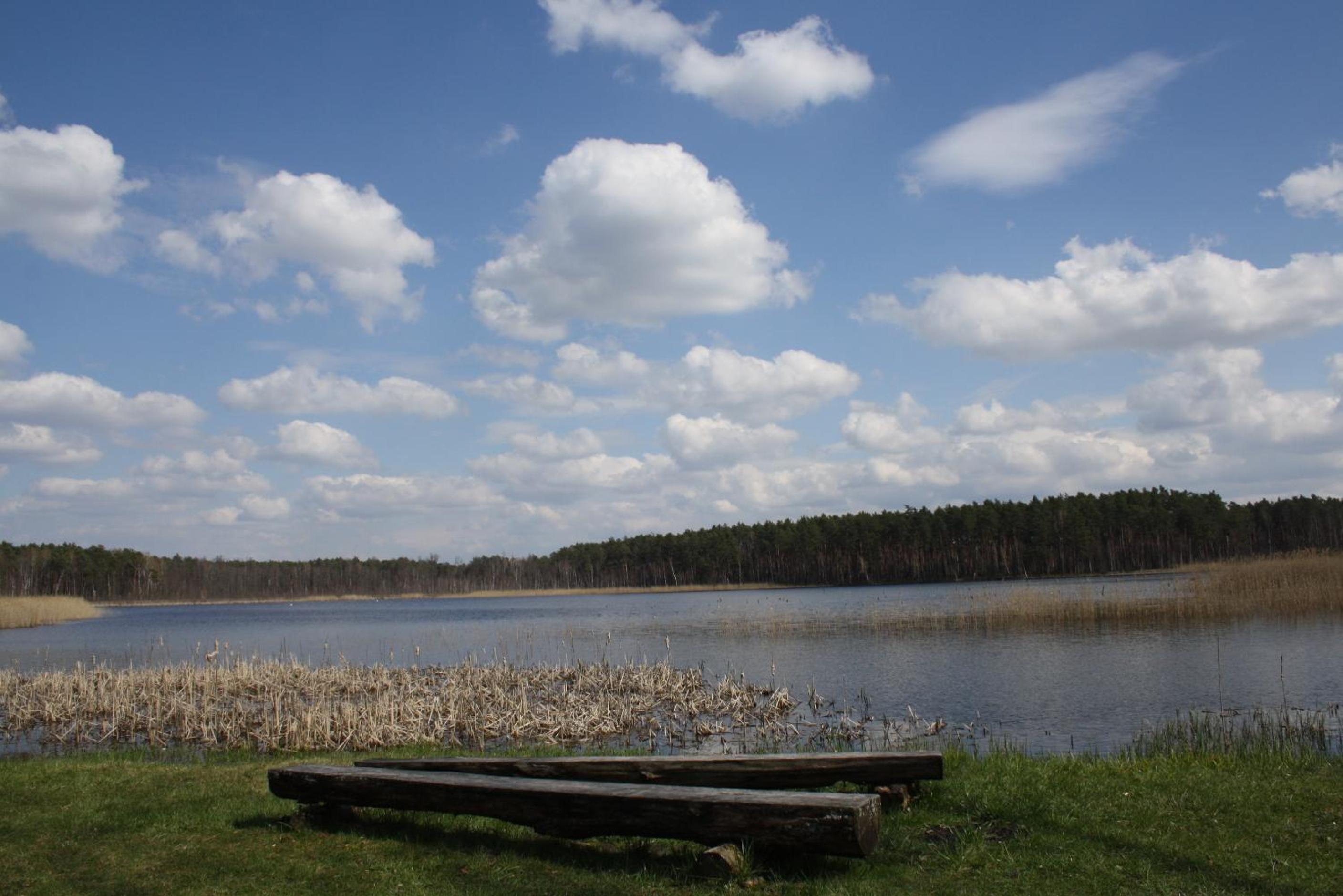 Photo 37