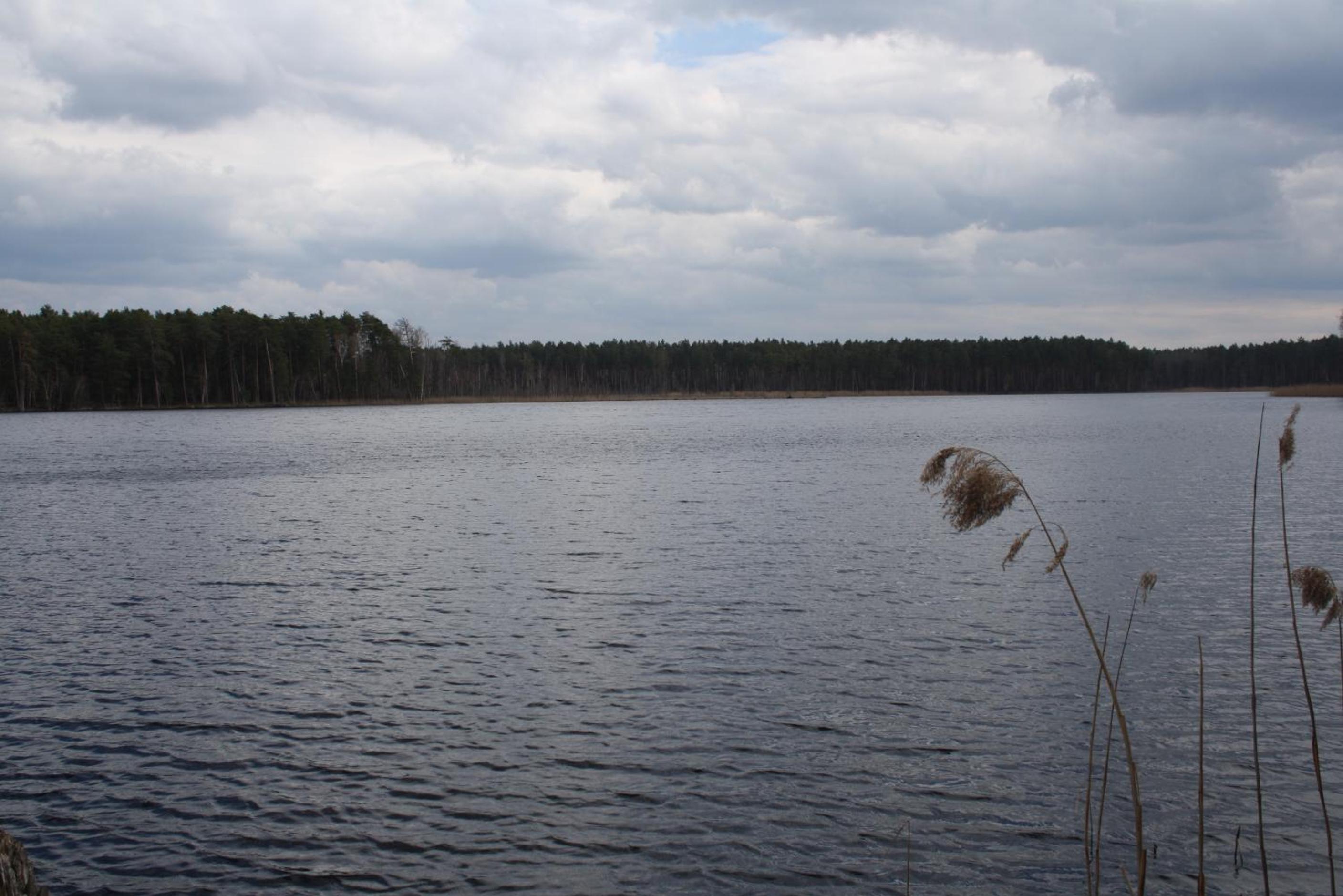 Photo 34