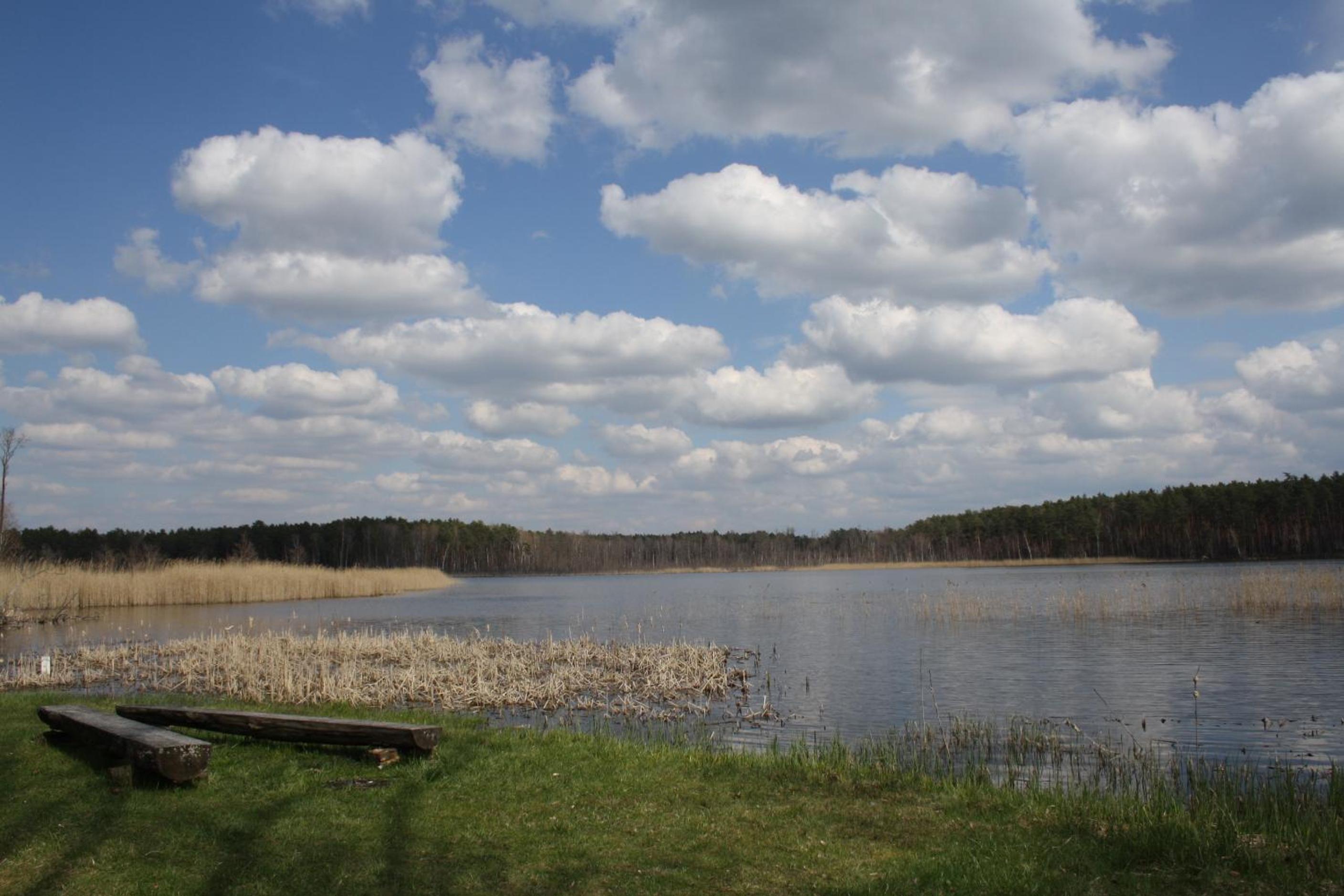 Photo 35