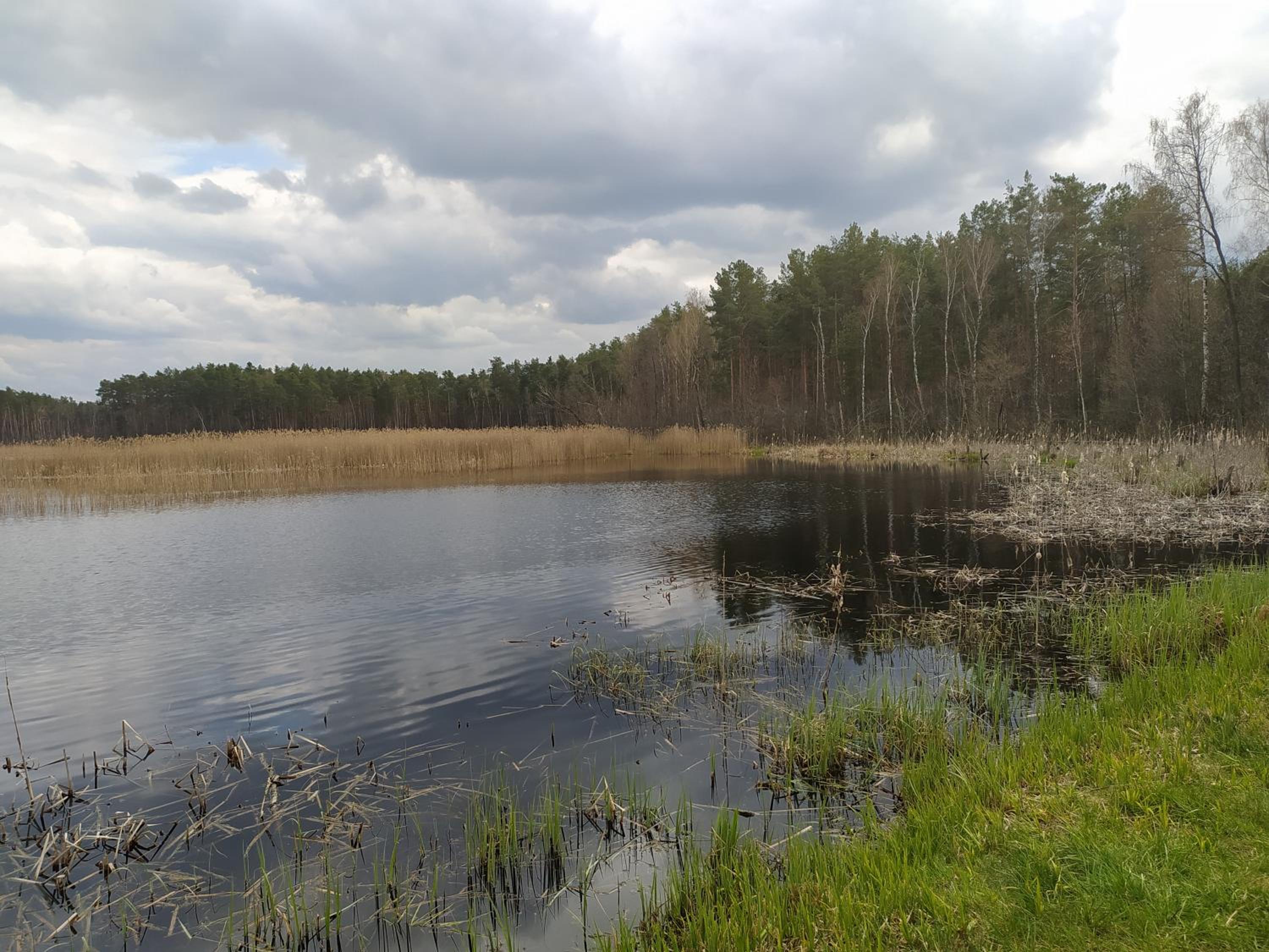 Photo 36