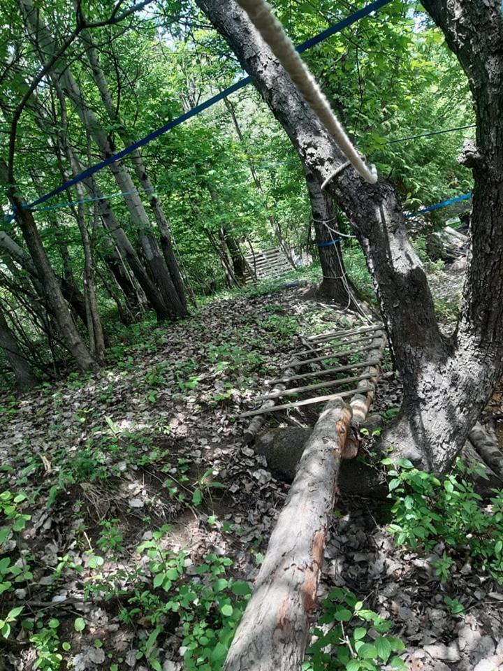Photo 41